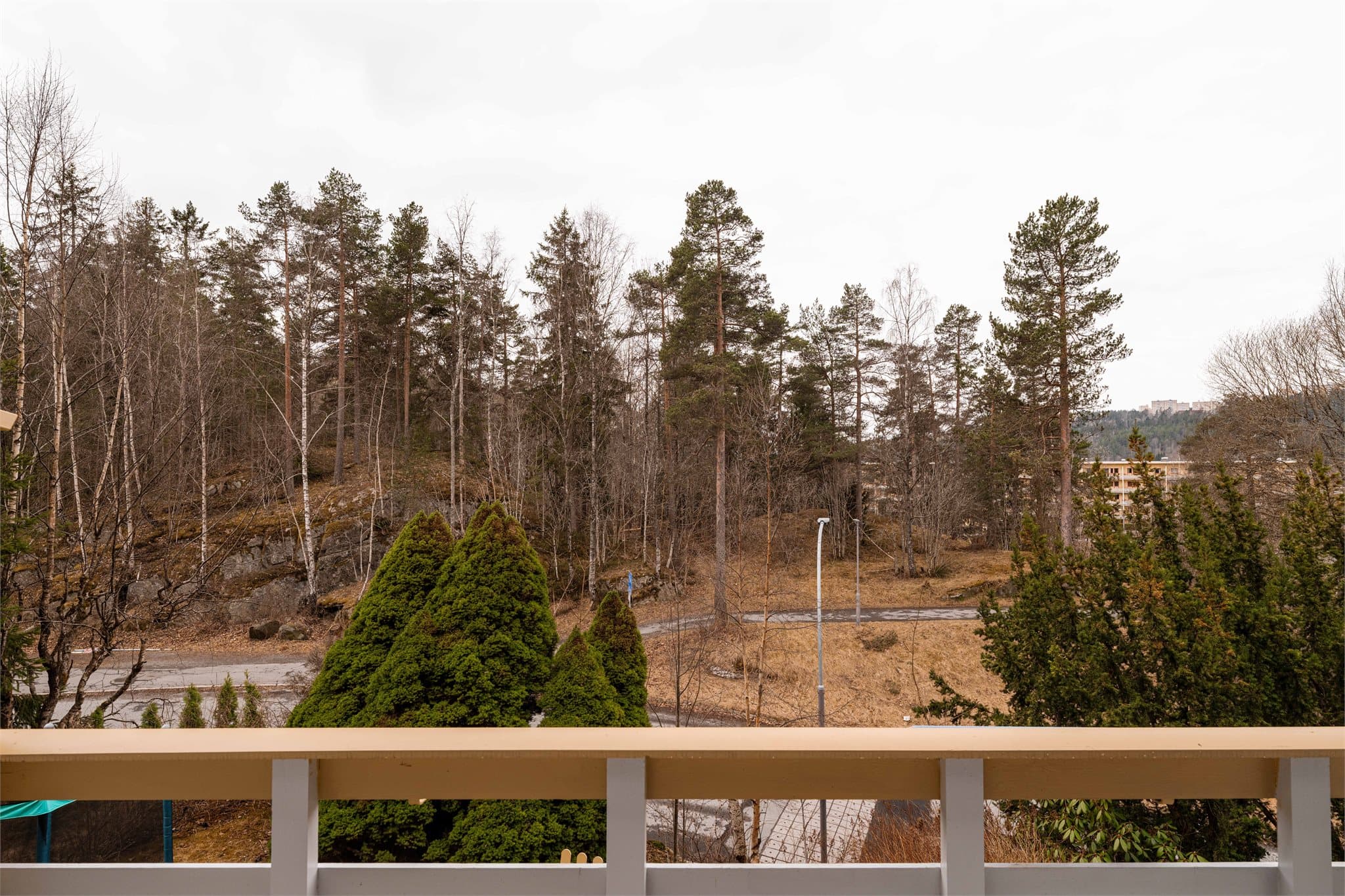 Utsikt over de rolige og grønne omgivelsene.