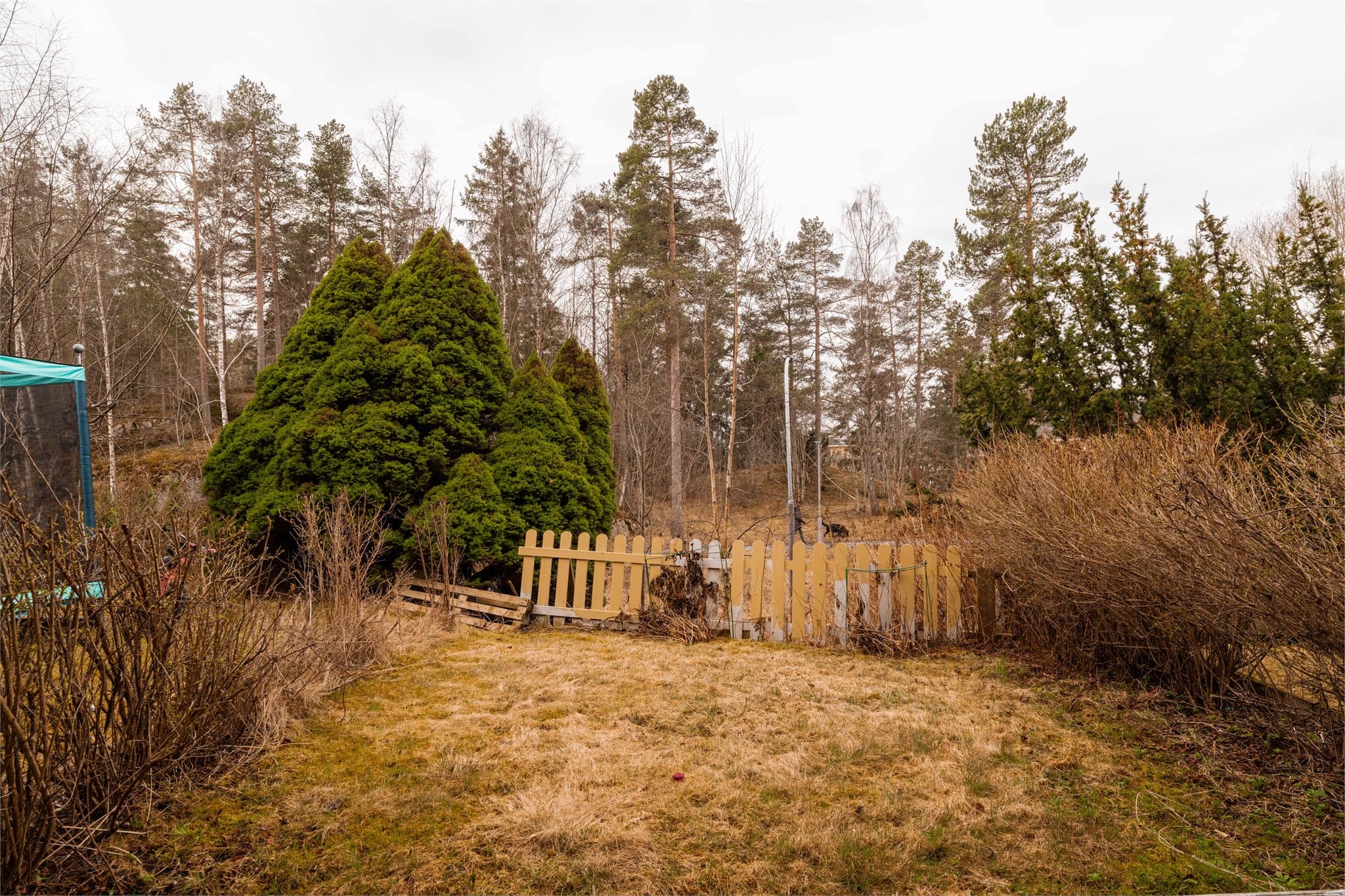 Hagen gir rom for lek og utendørsaktiviteter.