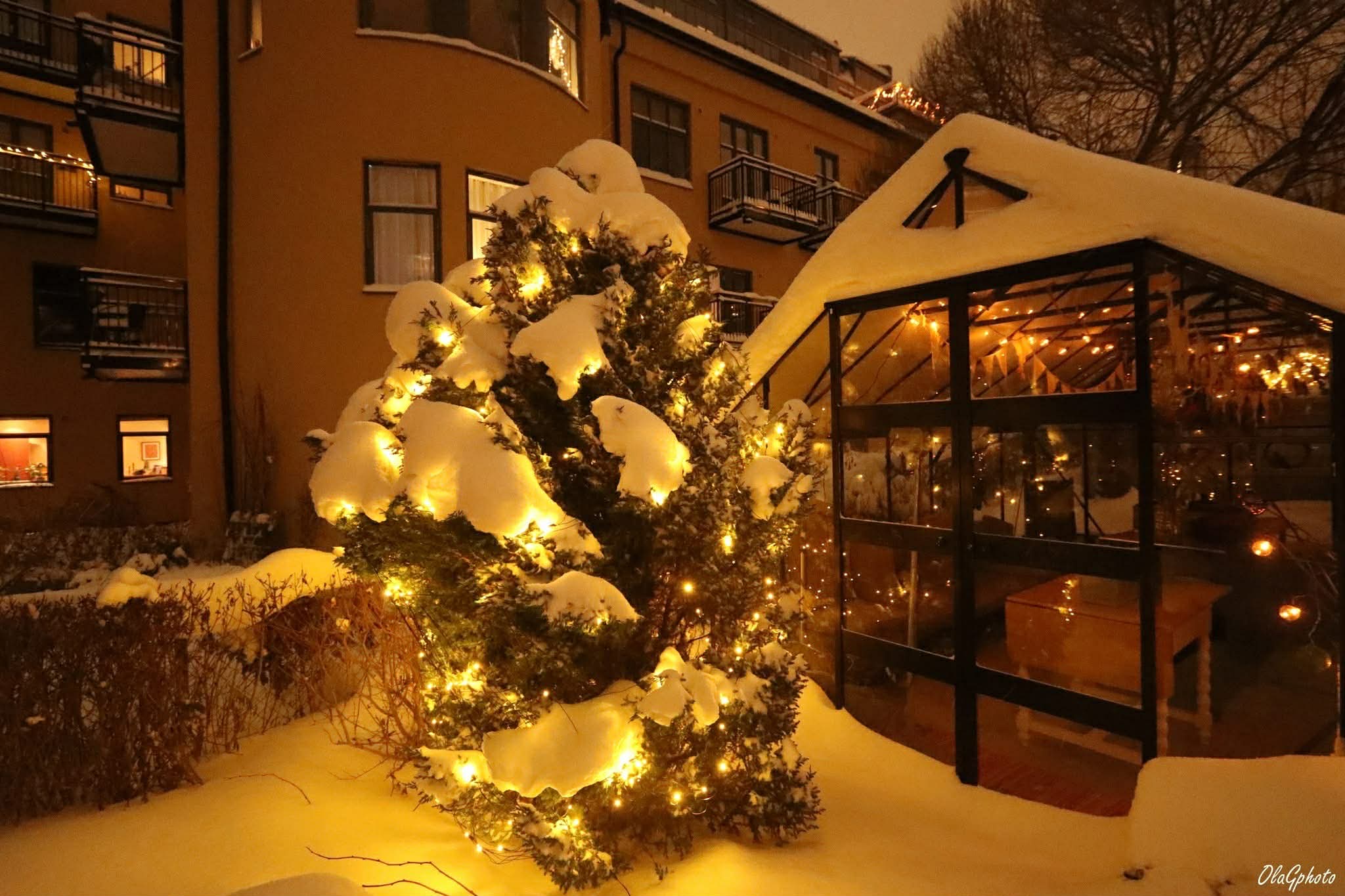 Vinterbilde tilsendt fra selger.