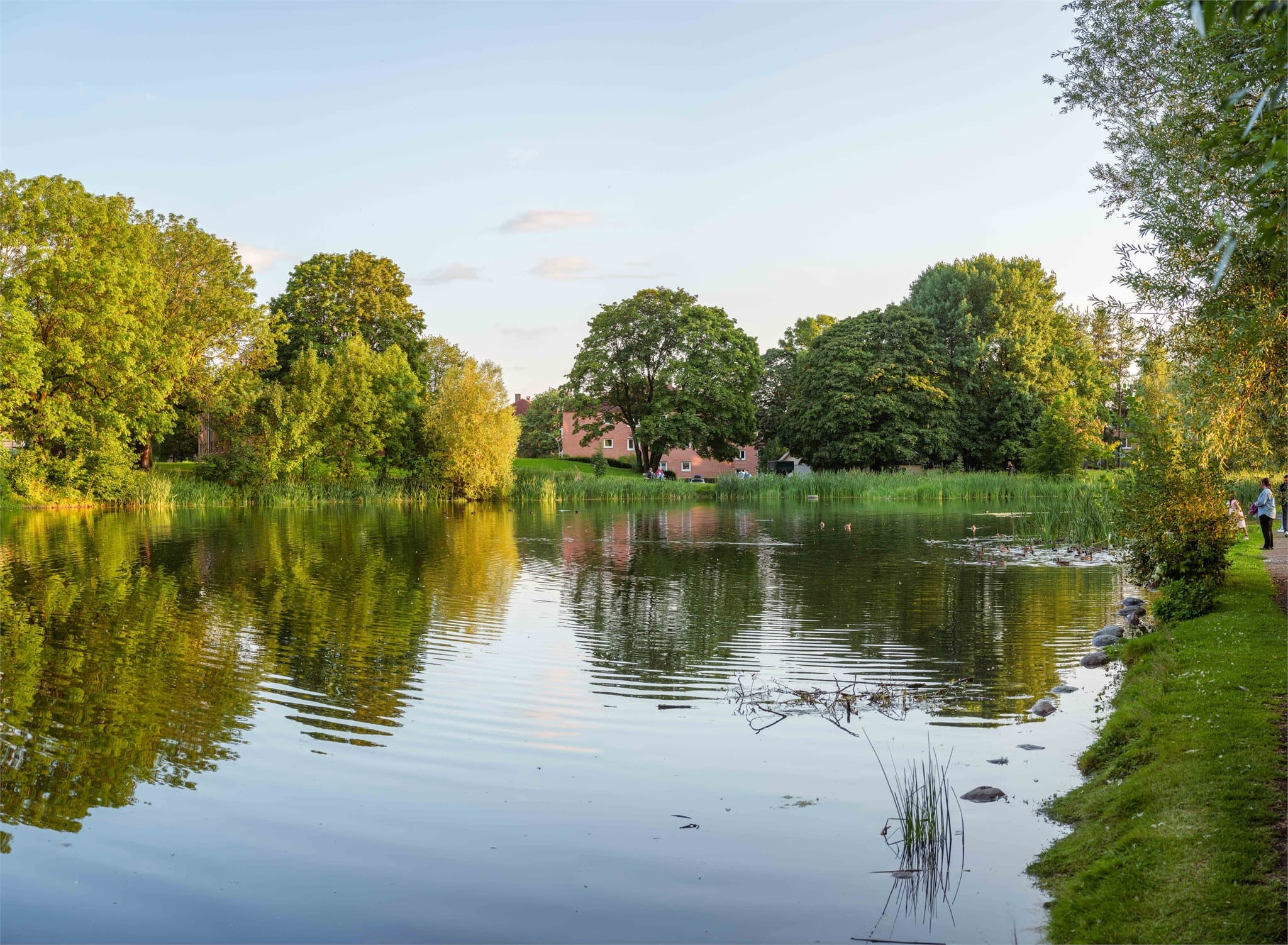 Nærområdet har flotte tur- og rekreasjonsmuligheter som idylliske Hovindammen.