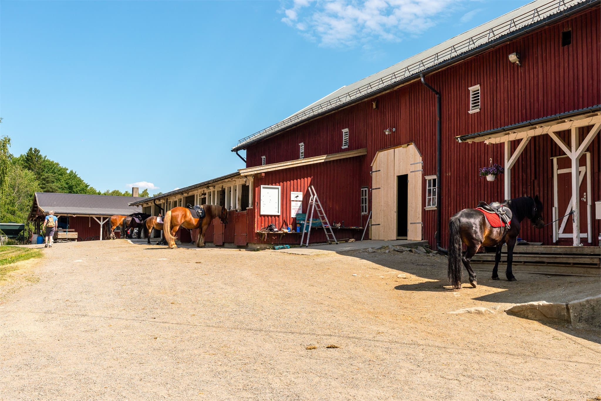 Innen gåavstand er også Ås Ga°rd. En idyllisk besøksgård med dyr, grønne omgivelser og aktiviteter for hele familien. En lun og landlig oase med dyr på tunet, åpne jorder og rolig atmosfære – et lite stykke bygdeliv midt i byen