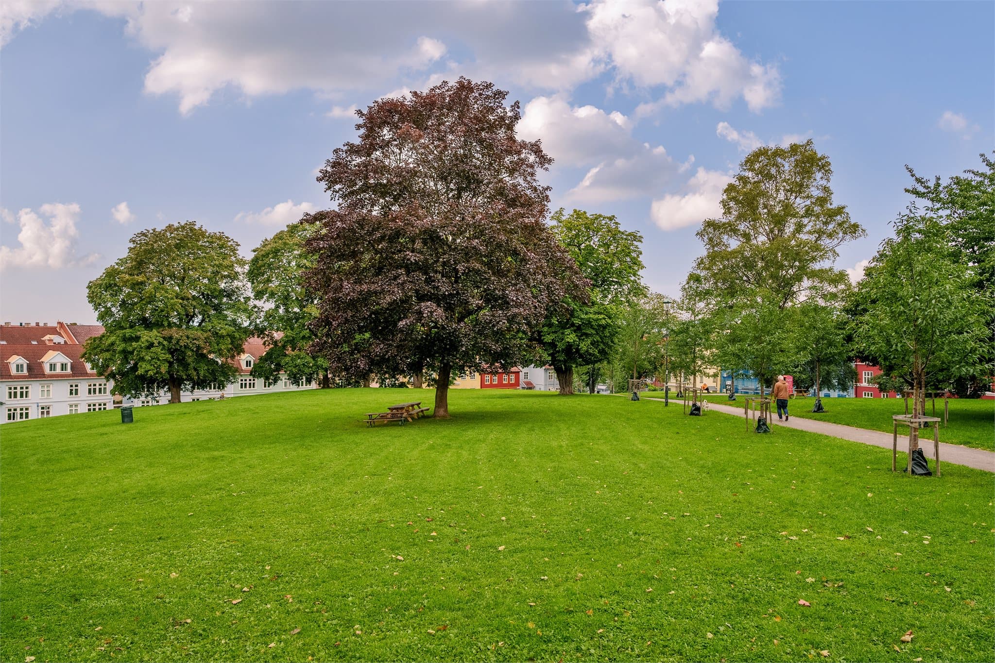 Vålerenga park i nærheten, ideell for hyggelige sommerdager med venner.