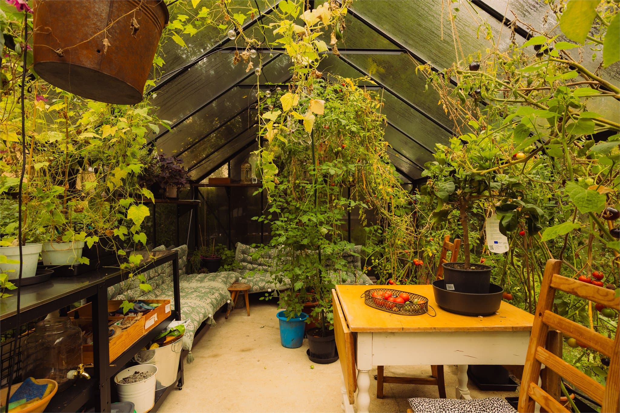 Drivhus i bakgården med sittegrupper og mulighet til å gro grønnsaker.