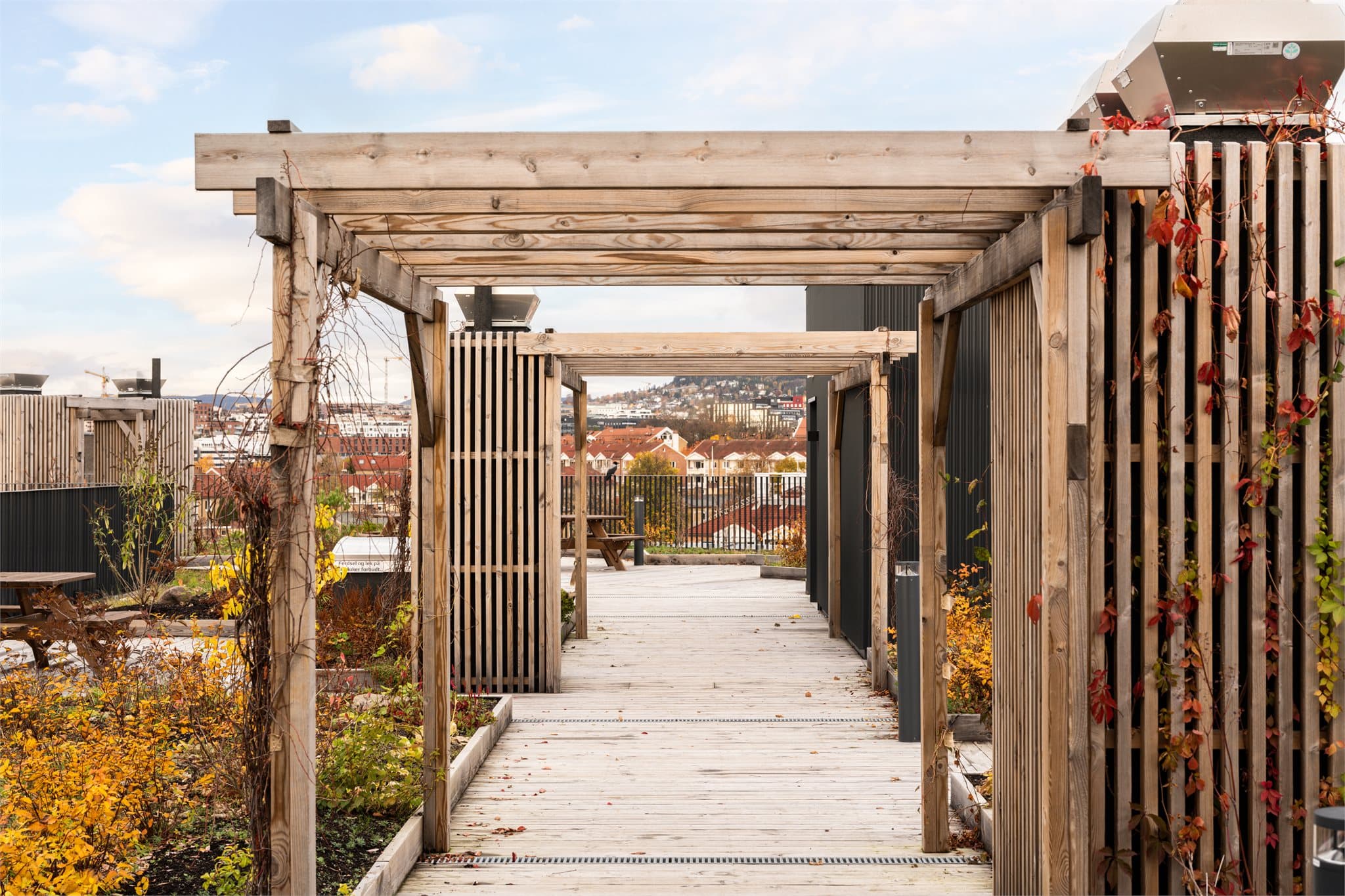 Takterrassen har solsenger, sittegrupper og hele 1000 kvm med boltreplass!
