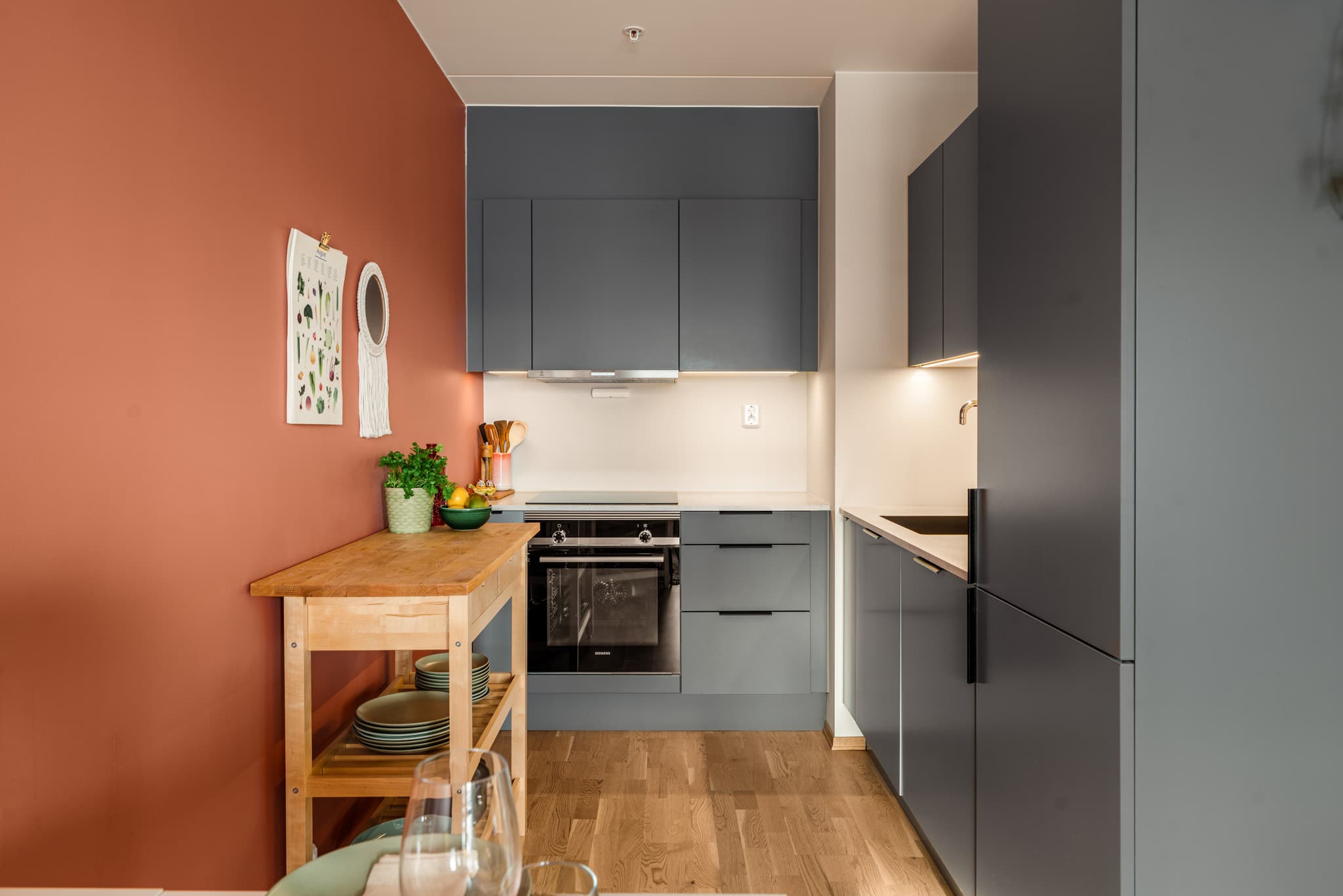 Integrerte hvitevarer; koketopp, stekeovn, oppvaskmaskin og kombi kjøl-/frys.