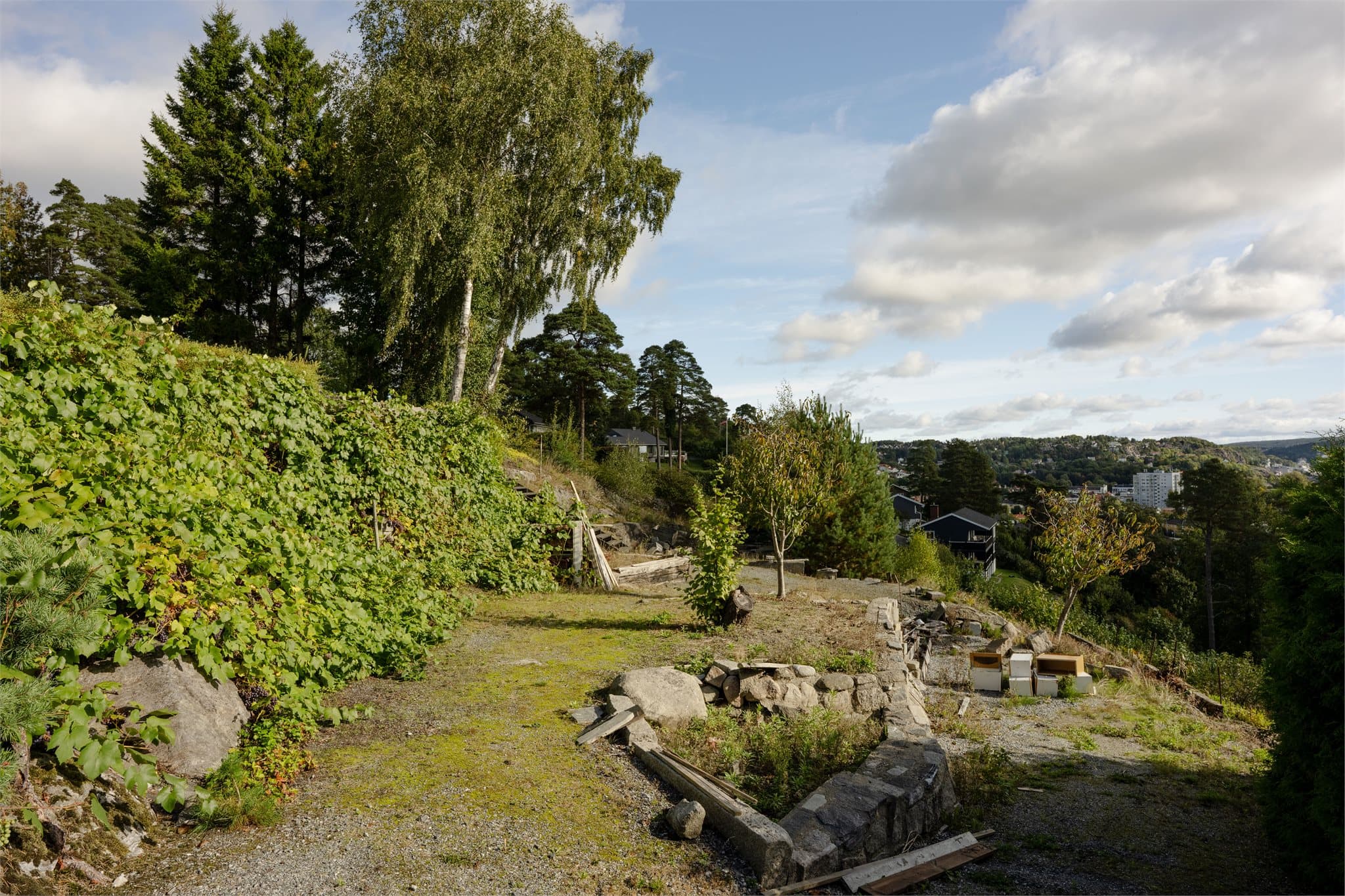Terrassert tomt med naturstein, frukttrær og åpen utsikt mot åsene.
