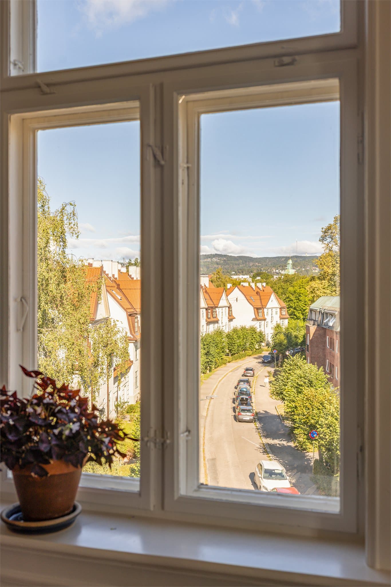 Lekker utsikt fra leiligheten.