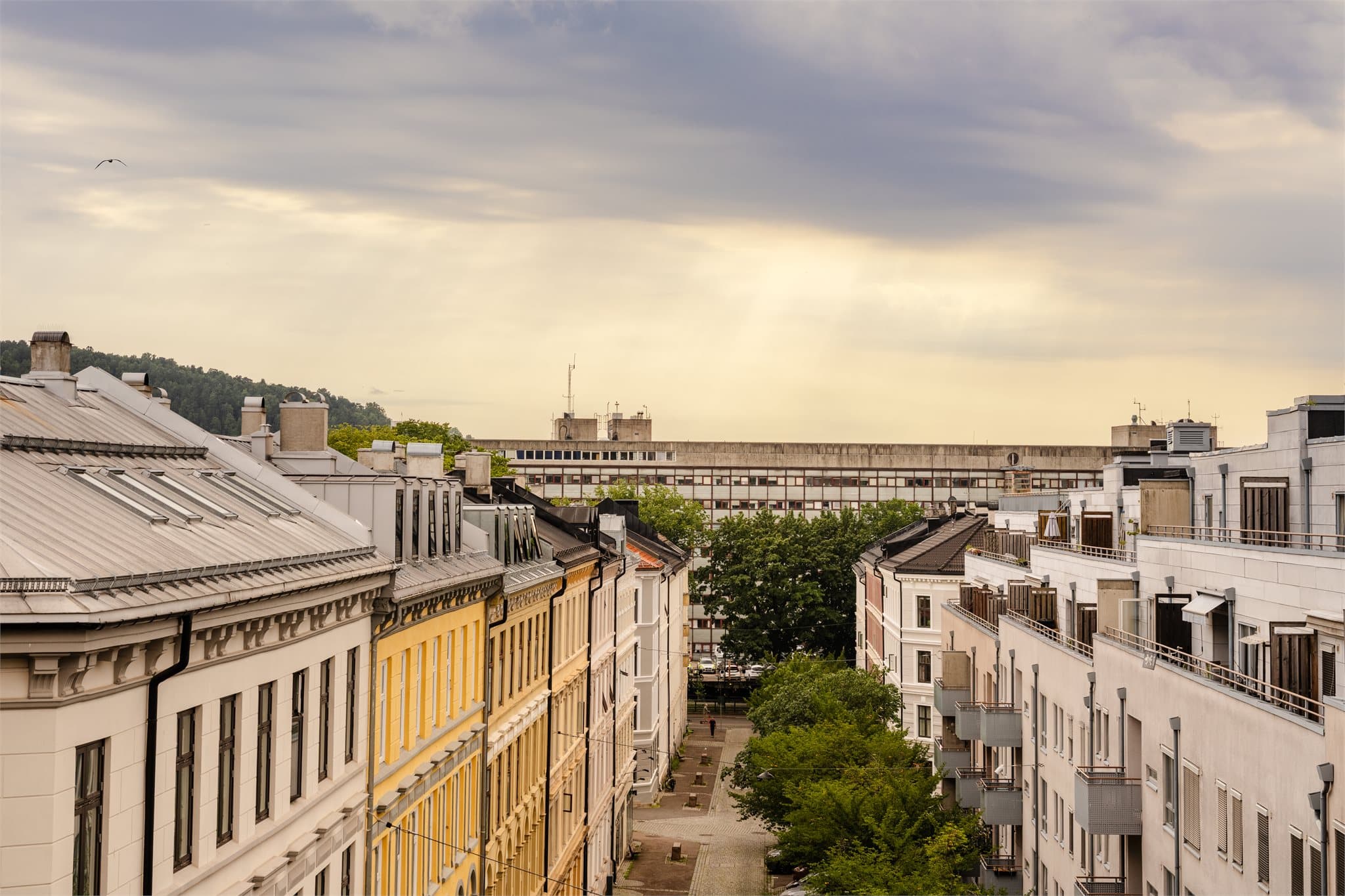 Her bor du høyt og fritt sentralt på Tøyen, med kort vei til Tøyen Torg, Botanisk hage og Tøyenbadet.