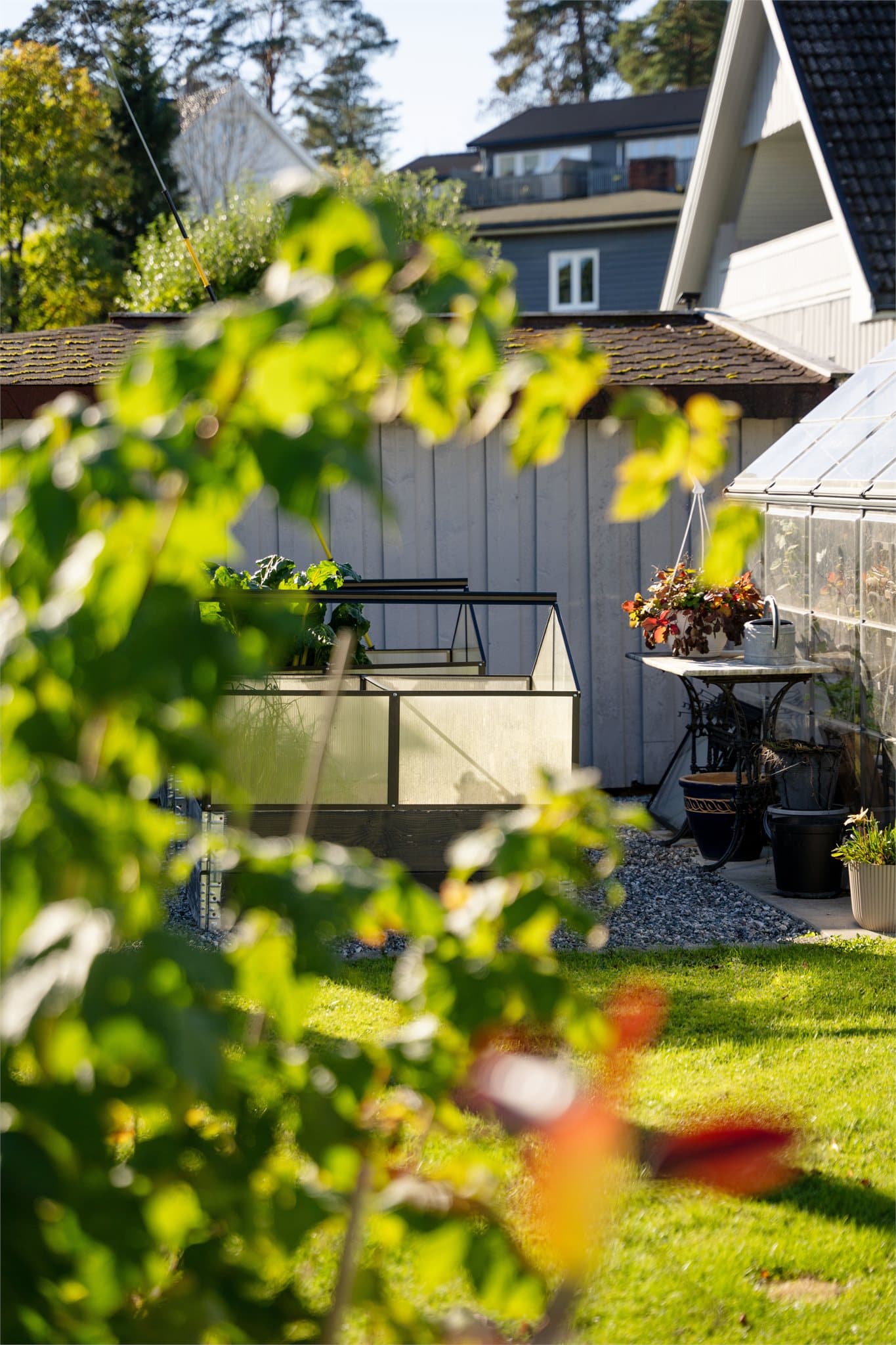 Kombinasjon av plen, beplantning og tilrettelagte plantekasser.