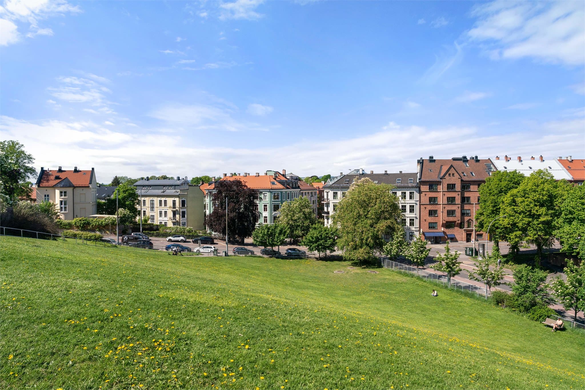 Idioten Park