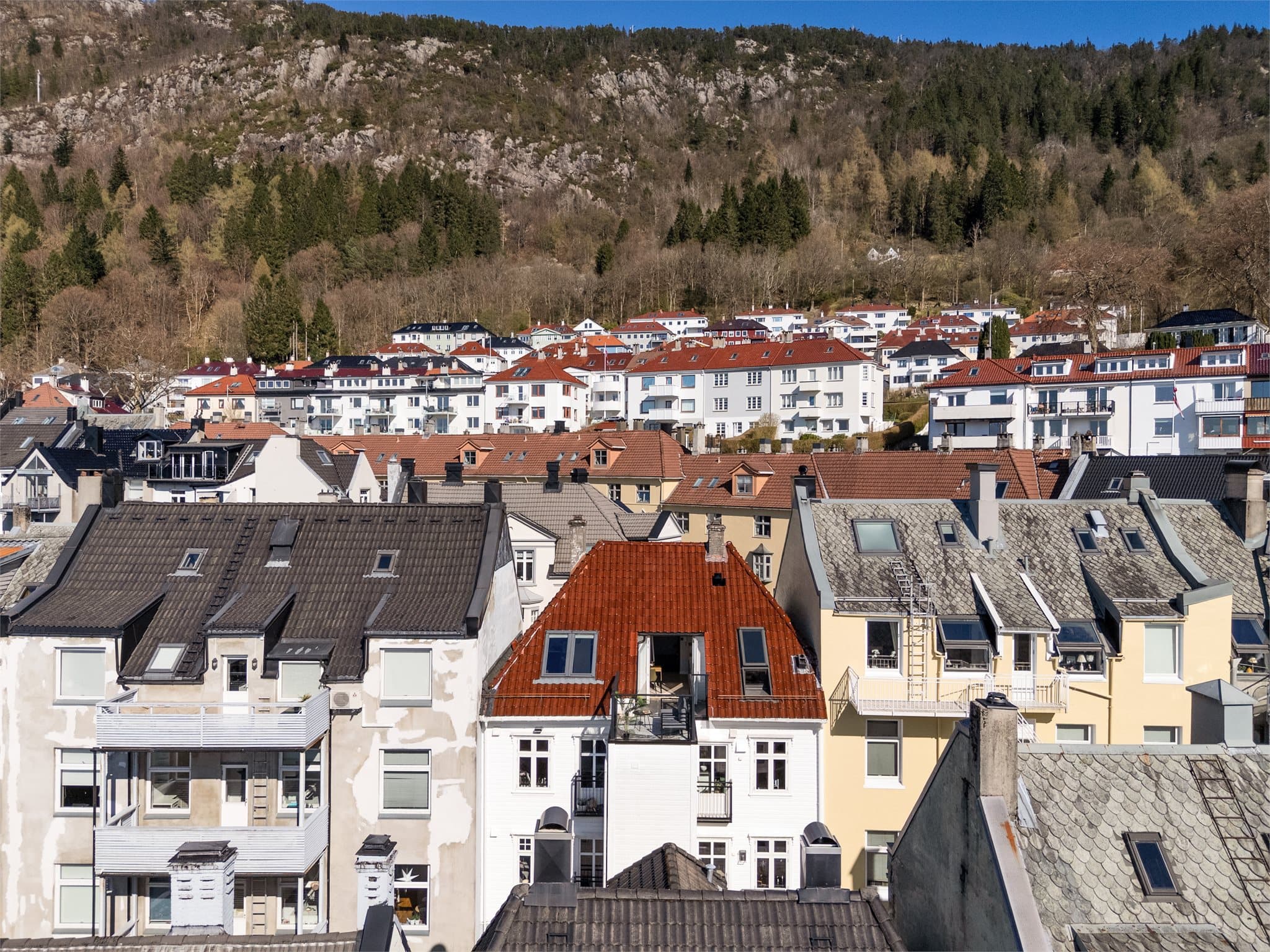 - Her bosetter seg med korte avstander til både flott natur og Bergens yrende byliv -