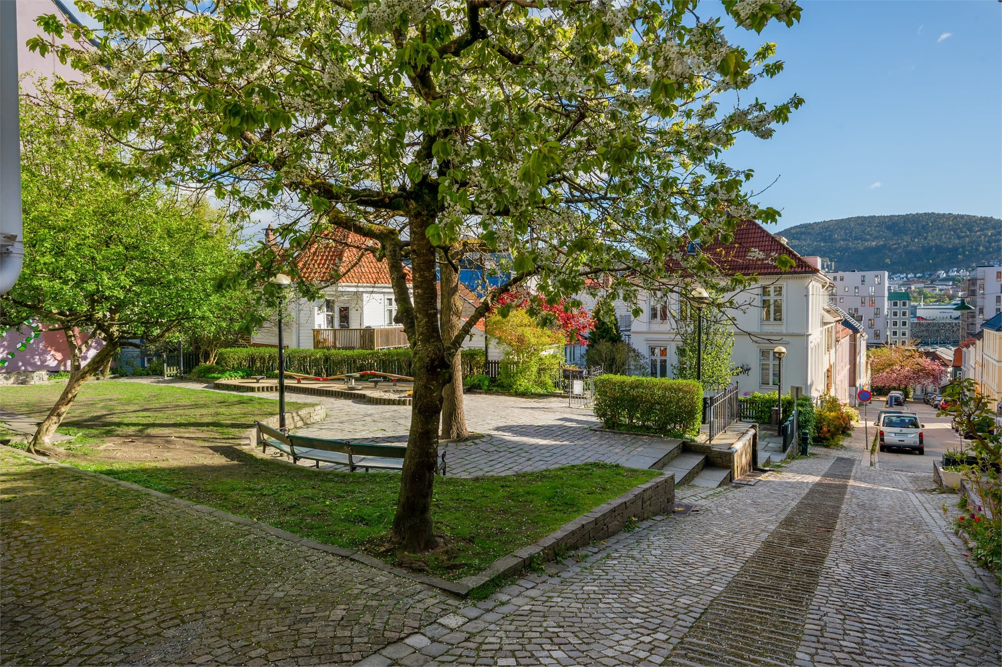 - Turmulighetene er mange. Flotte parkområder og Nordnes sjøbad ligger bare en spasertur unna. Det er verdt å nevne at selger har benyttet Apotekerhagen som deres felles bakgård -