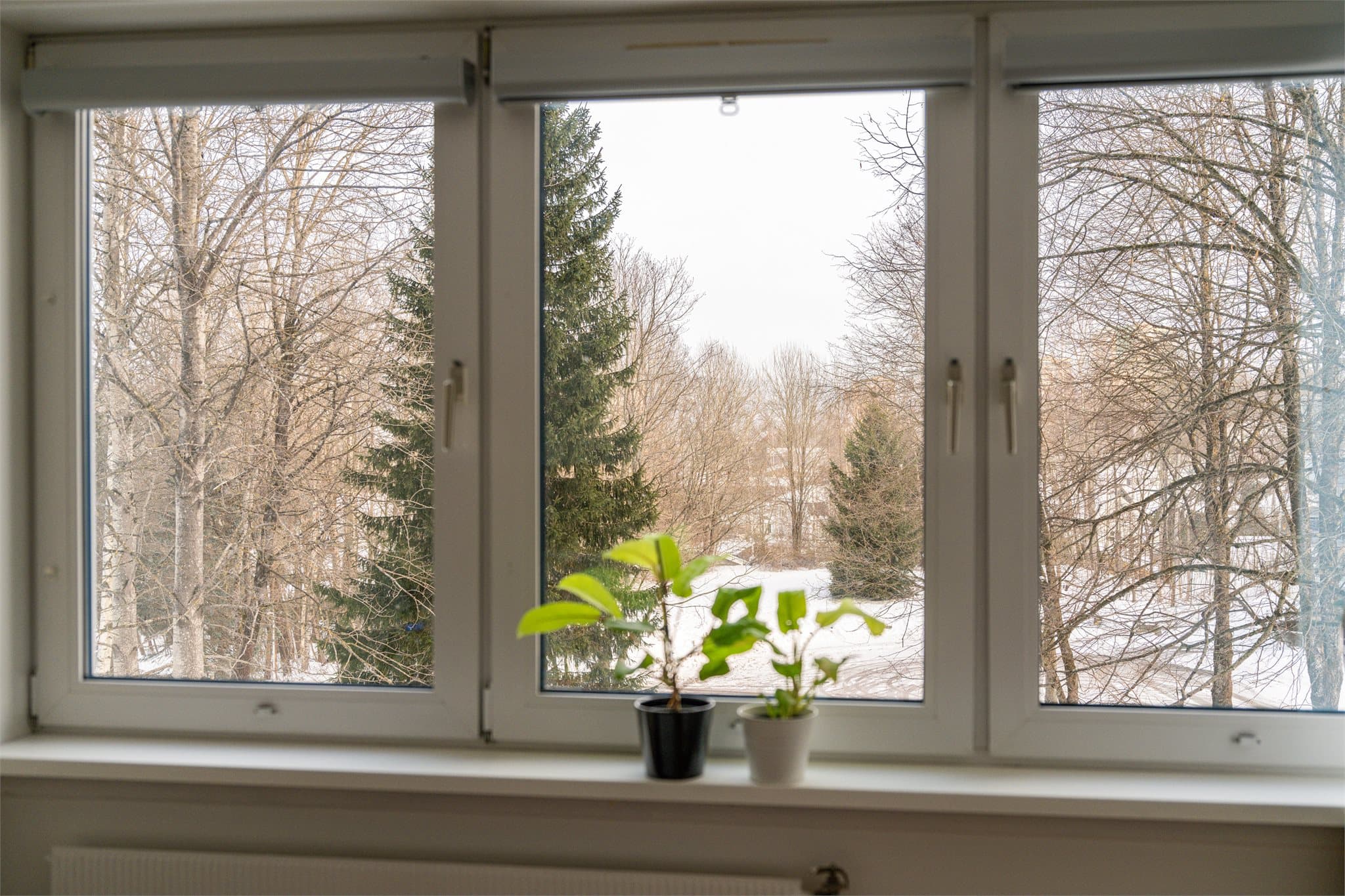 Rommet har et vindu som gir naturlig lys.