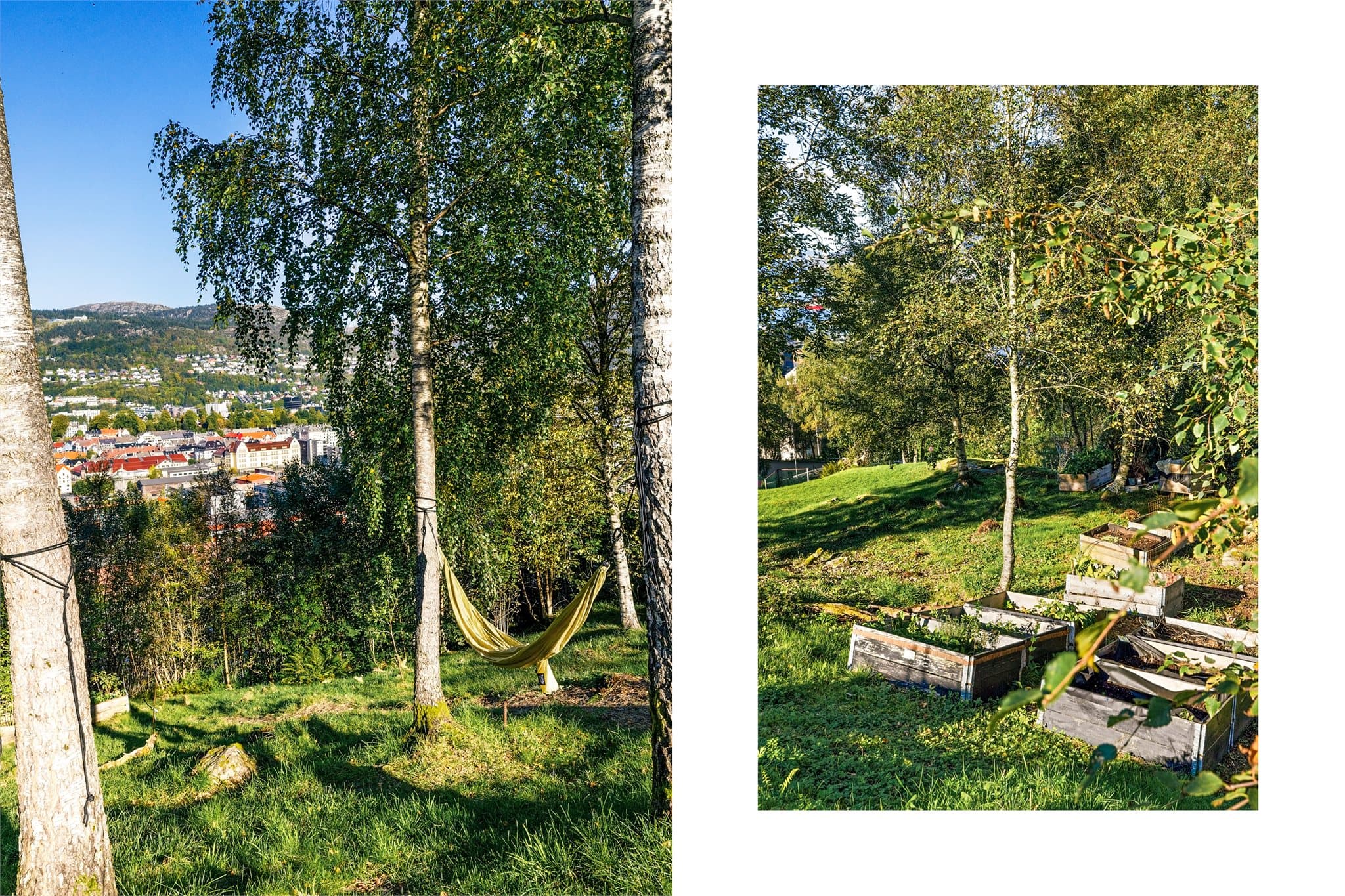 Det er gjennomført omfattende rehabilitering av bygningen i regi av borettslaget i perioden 2024-2026, inkludert rehabilitering av tak, fasader, balkonger og utskifting av vinduer