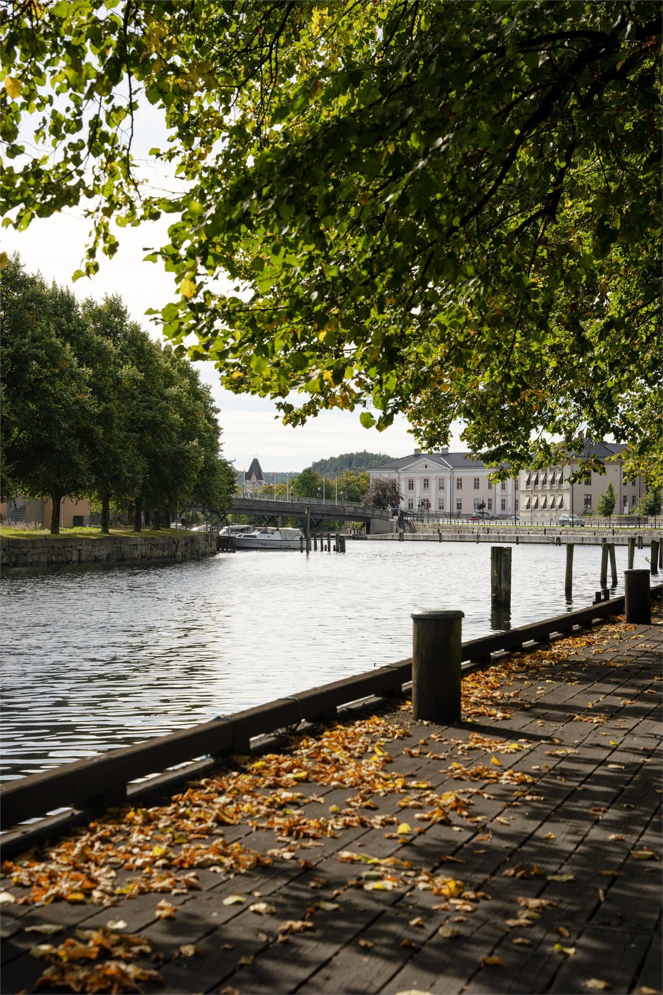 Flotte rekreasjonsmuligheter langs Tista ned mot sentrum.