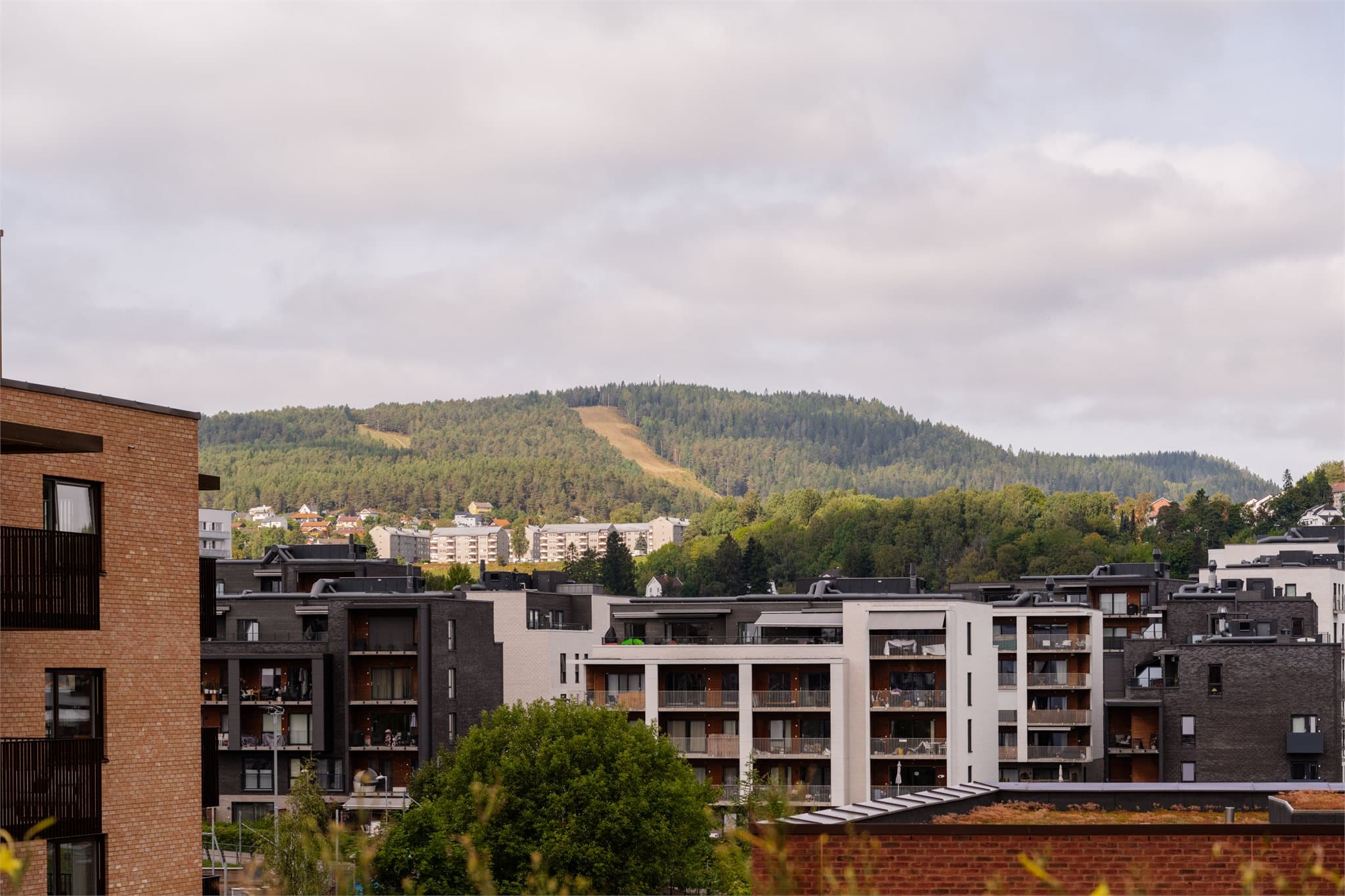 Grefsenkleiva i utsikten – et flott bakteppe fra felles takterrasse.