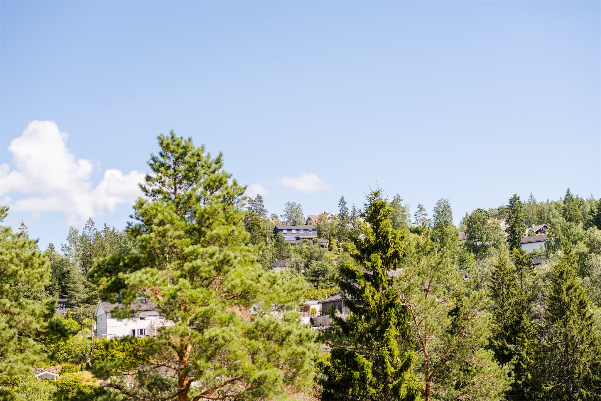 Tomten grenser mot markalovgrensen, noe som gir utsikt mot et flott og grønt friområde.