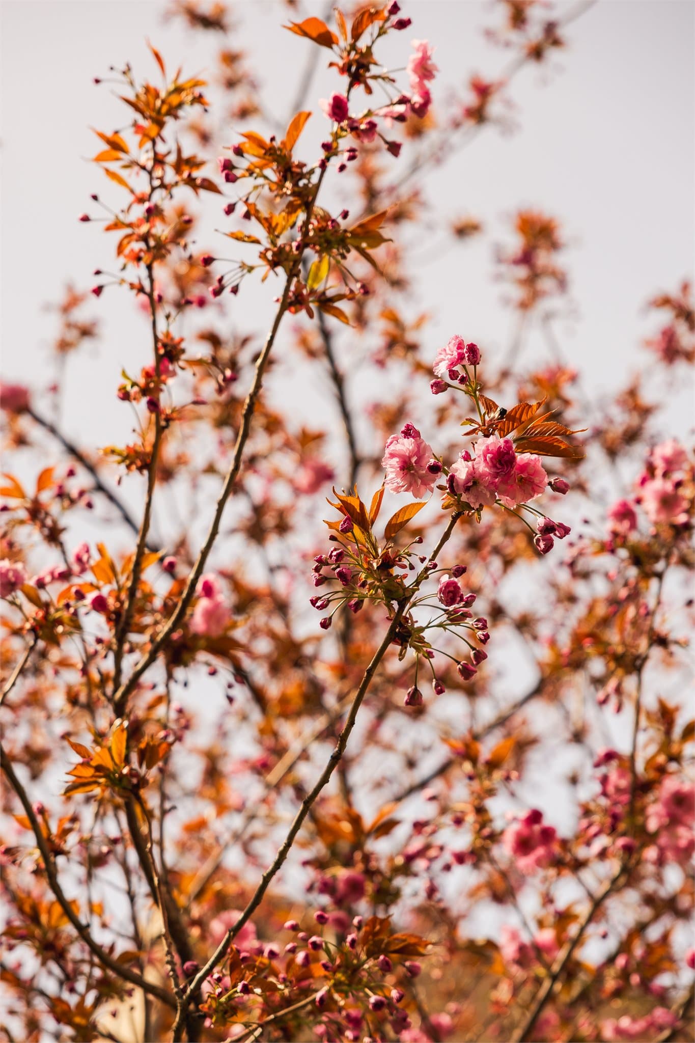 Boligen ligger i et veldig hyggelig nabolag på Løren med flotte grøntarealer og lekeplass.