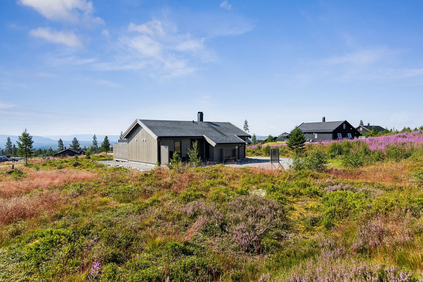 Hytta har en meget god intern beliggenhet innerst i Storfugllia på Furutangen Syd Panorama. Nærhet til skianlegg og ski in/out til langrennsløyper direkte fra hyttedøra.
