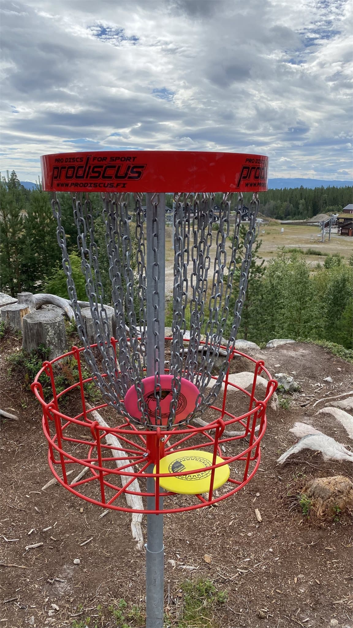 Furutangen Diskgolfpark er en spennende 24 hulls bane, med muligheter for å velge ulike baner.