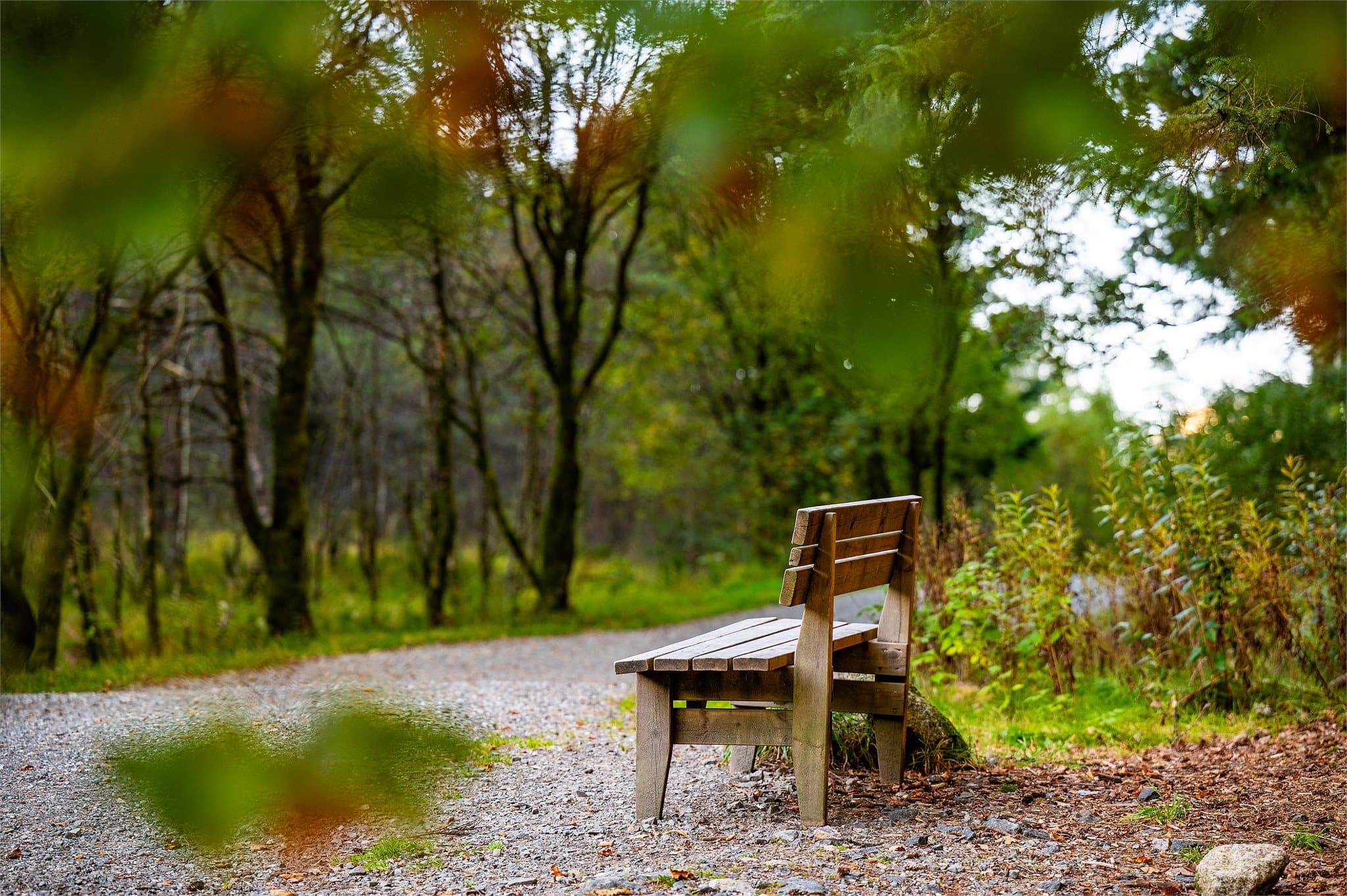 - Nydelige turmuligheter i nærområdet -