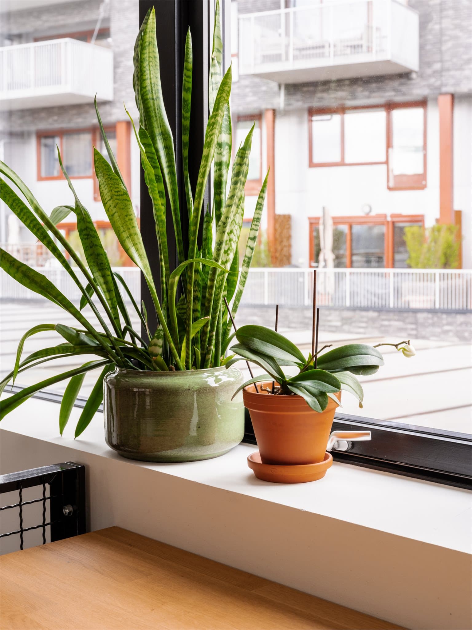 Dype vinduskarmer gir god plass til bøker, planter og dekorative detaljer.