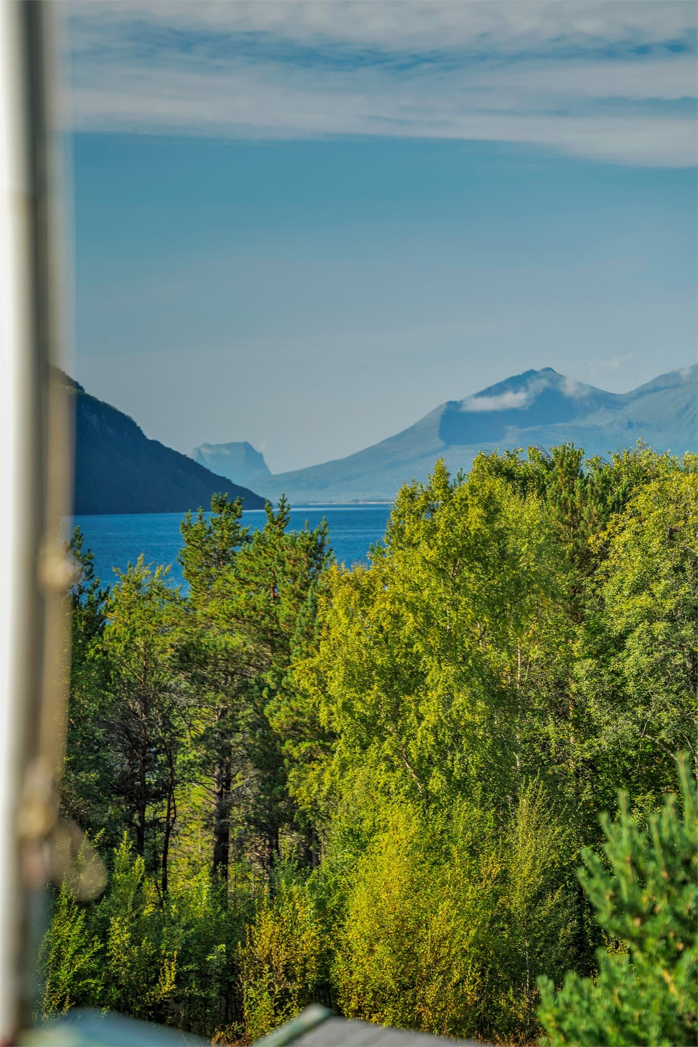 Fjordgløtt mellom tretoppene fra eiendommen.