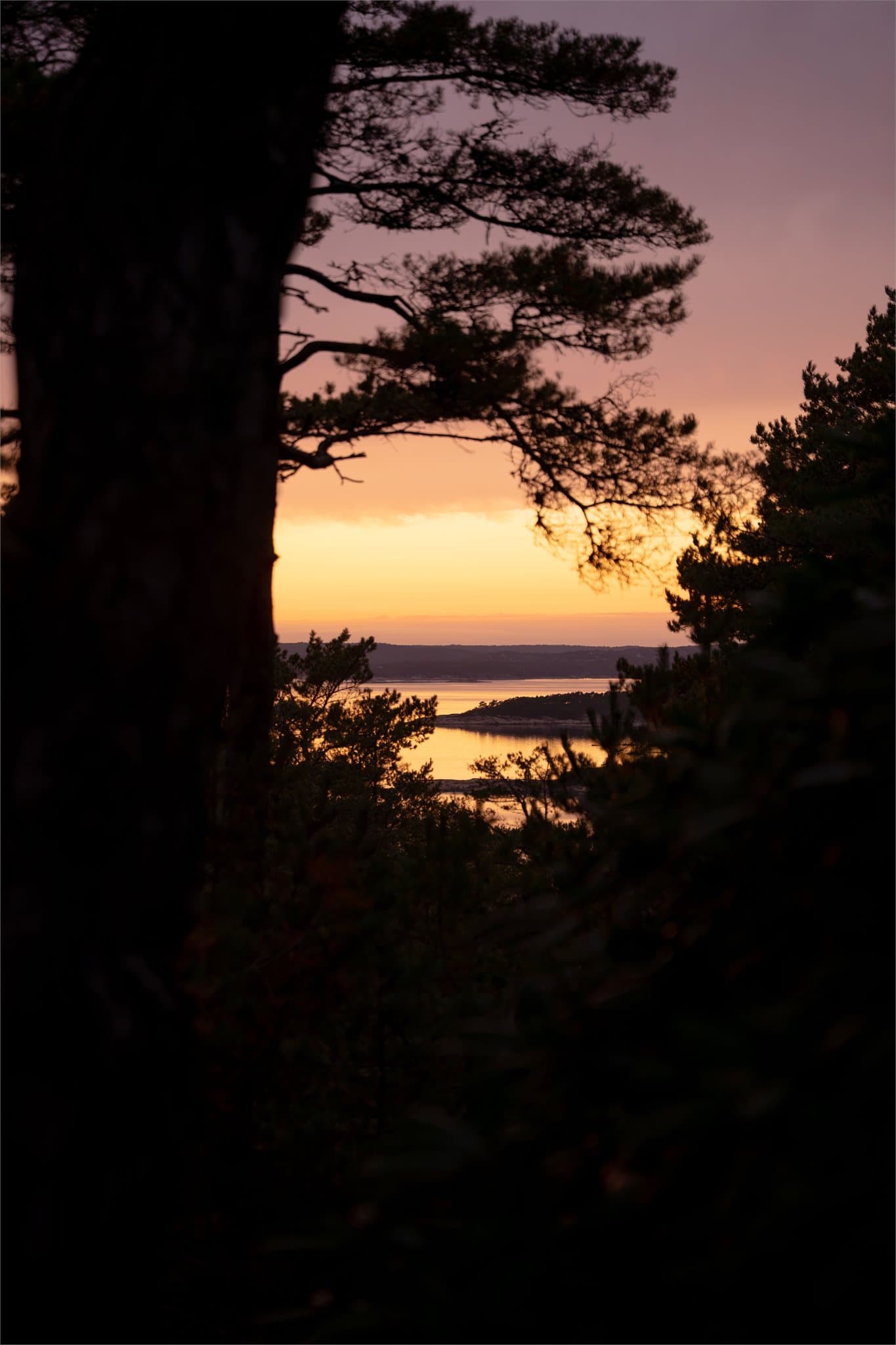 Utsyn mot fjorden i solnedgang.