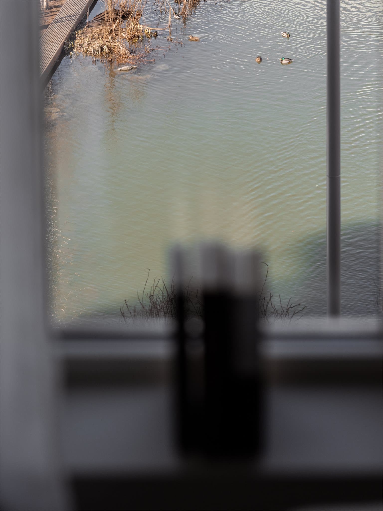 Også her kan du kikke rett ned mot det fine vannspeilet.