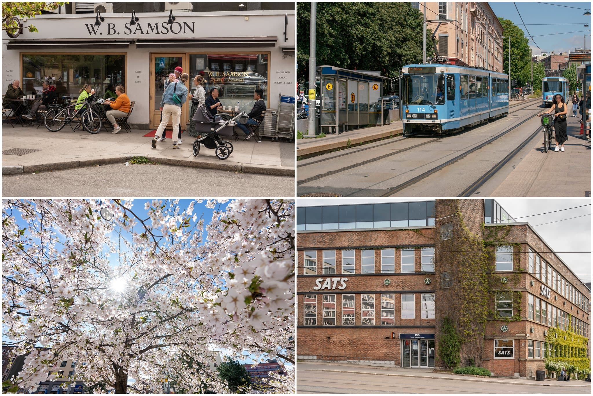 Kollektivtilbud med trikk fra Sofienberg og T-bane fra Carl Berners plass knytter området til sentrum.