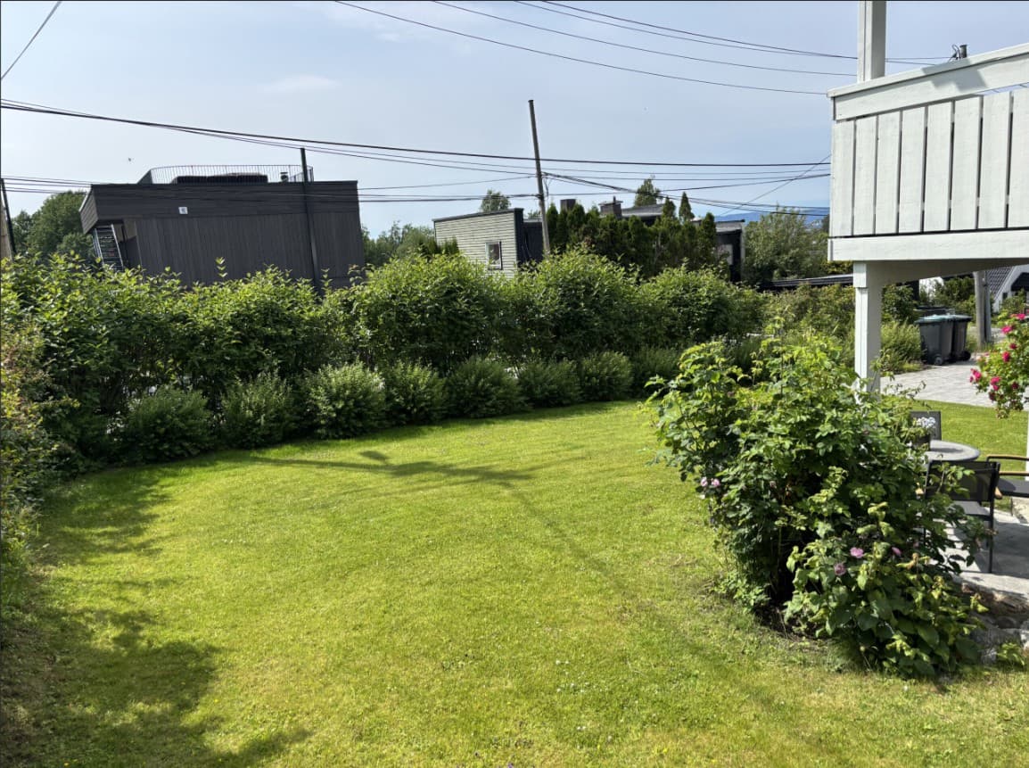 Her er det liv hele sommerhalvåret, fra morgen til kveld!