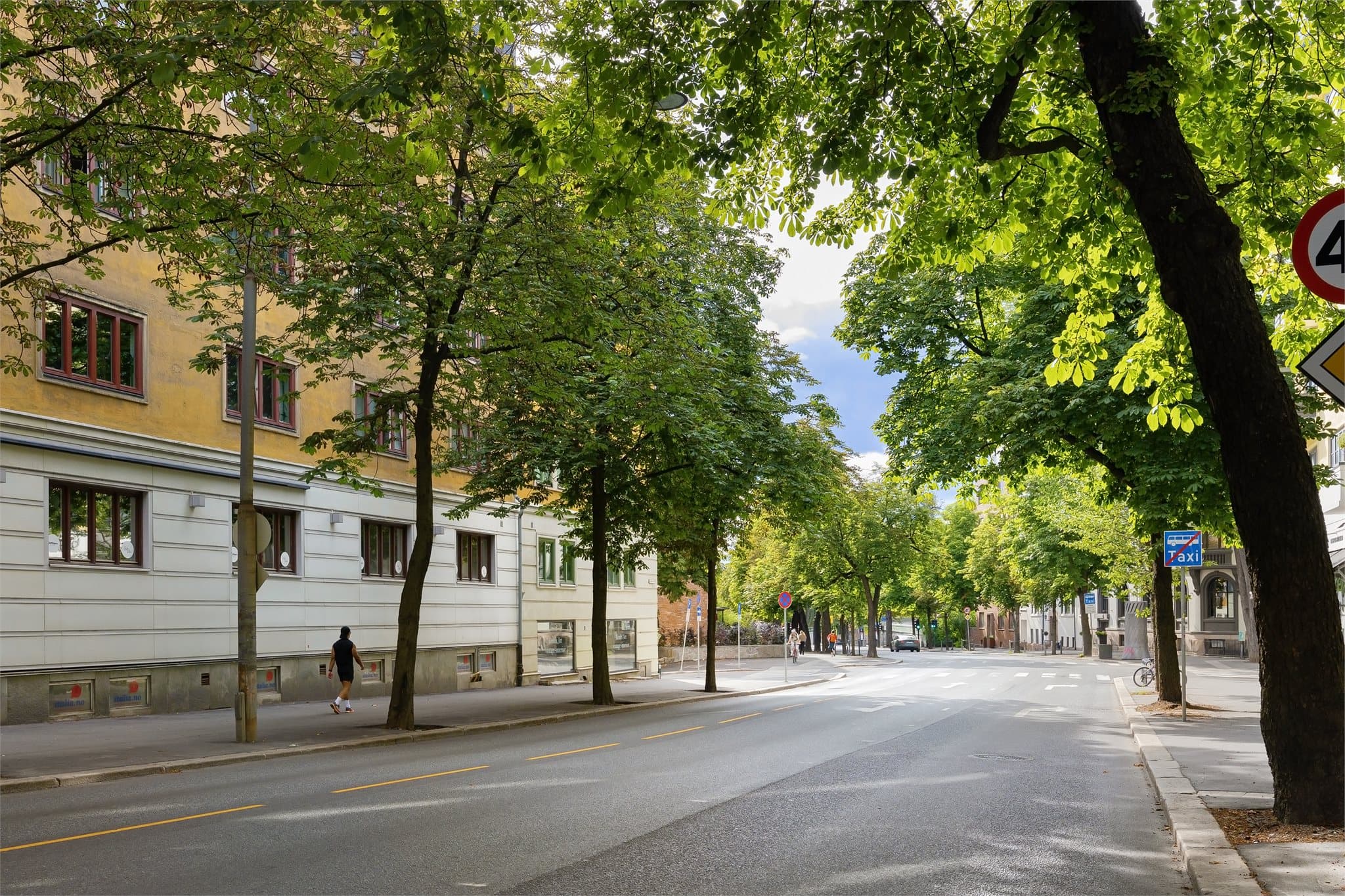 Bygdøy allé er en av Oslos mest prestisjefylte adresser, med kort vei til Frognerparken.