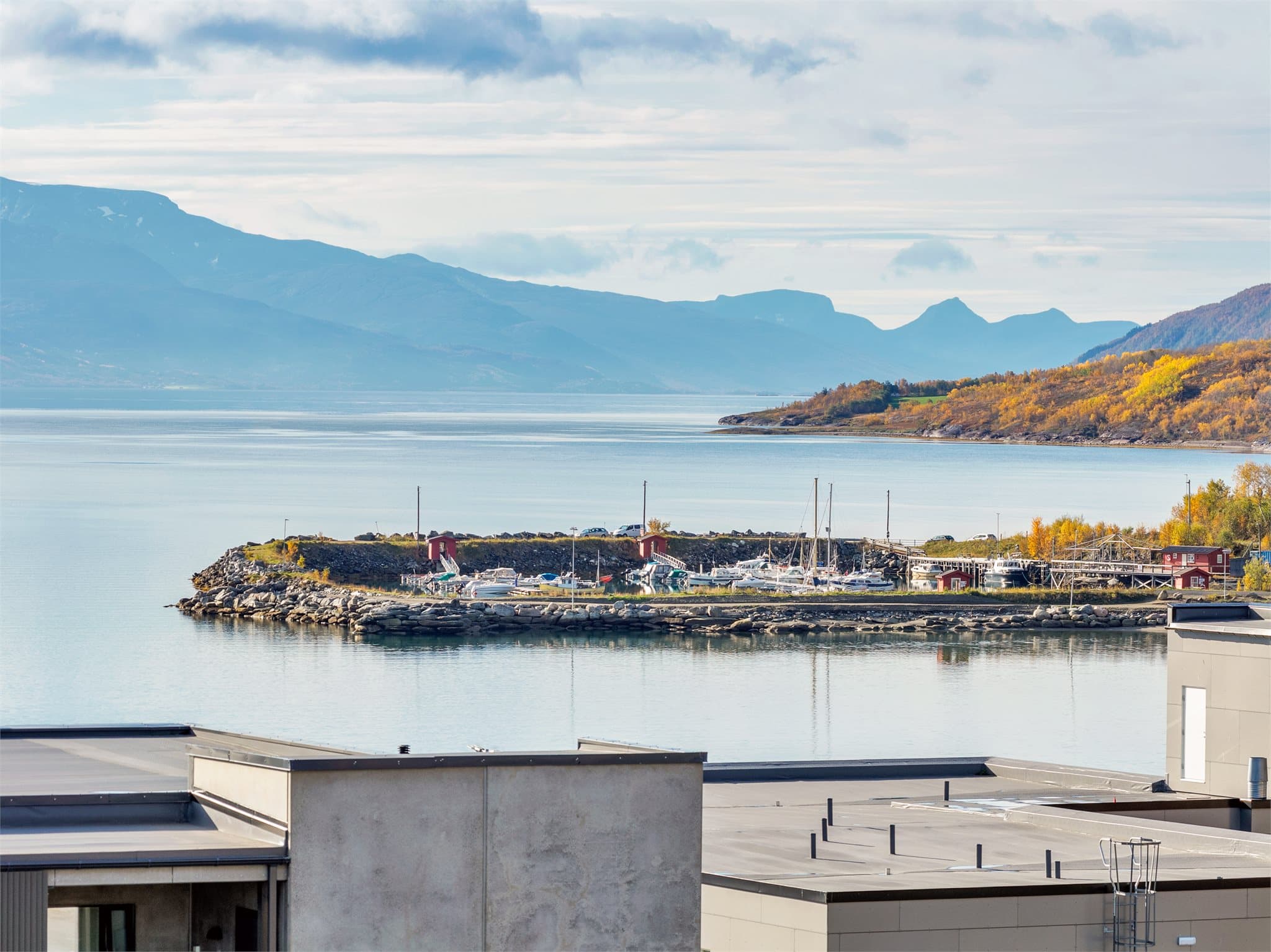 Bjerkvik småbåthavn ligger i kort gangavstand fra eiendommen.