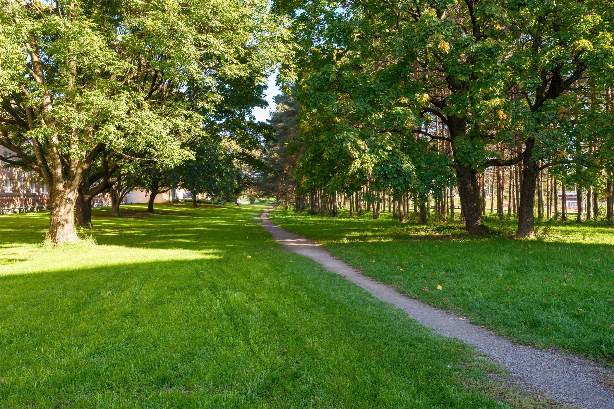 Hundremeterskogen er et lite, grønt skogsområde som passer fint for korte turer og lek. Her finner du stier, trær og rolige omgivelser som gir en følelse av natur midt i byen.