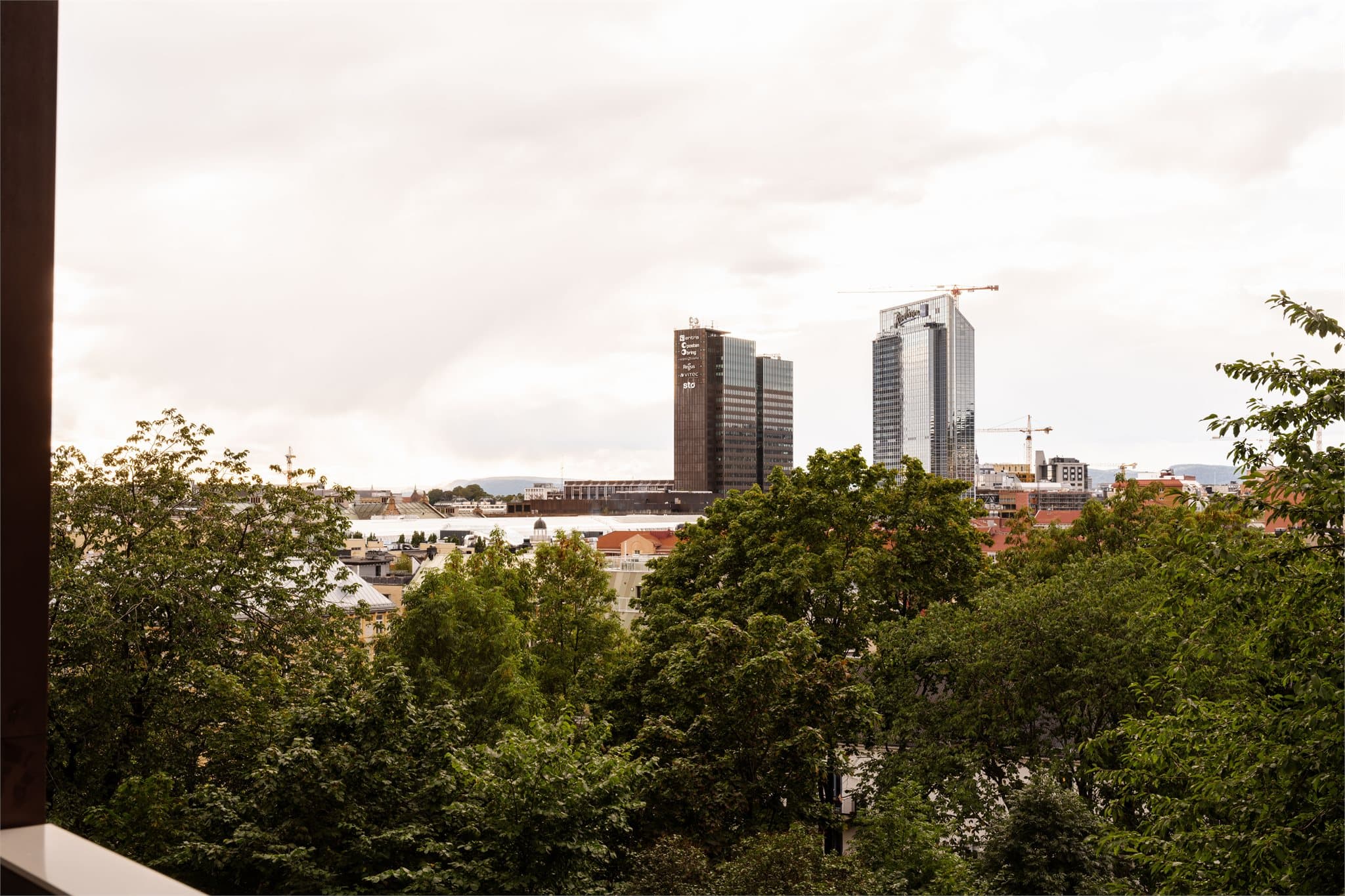 Utsikt over grønne tretopper mot Oslo sentrum og Oslo Plaza.