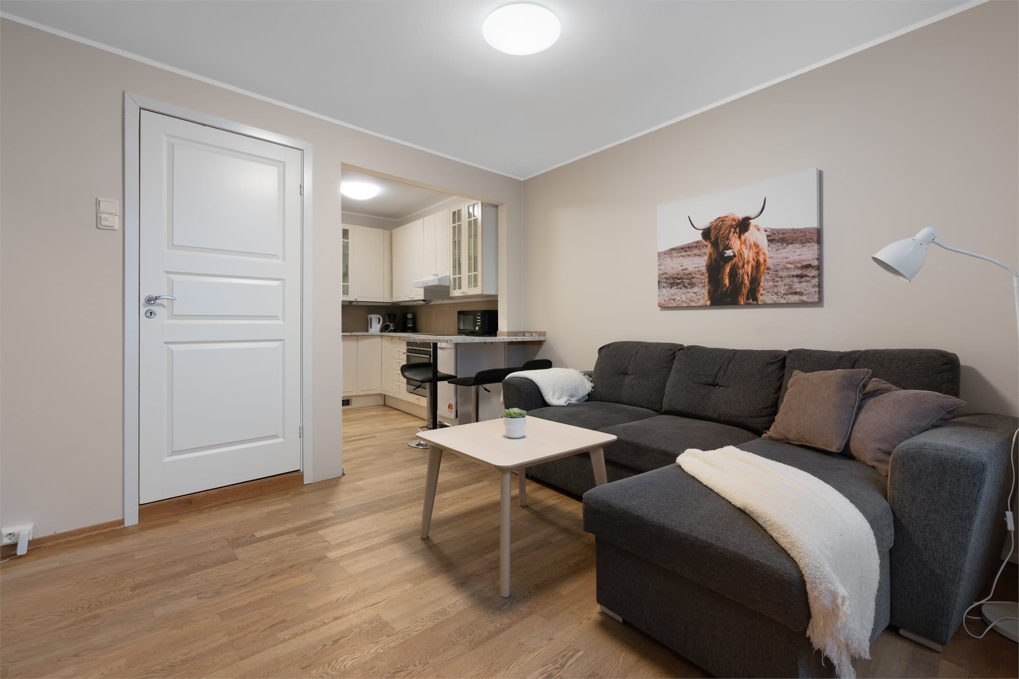 - Leiligheten inneholder gang, stue/kjøkken, soverom og bad -