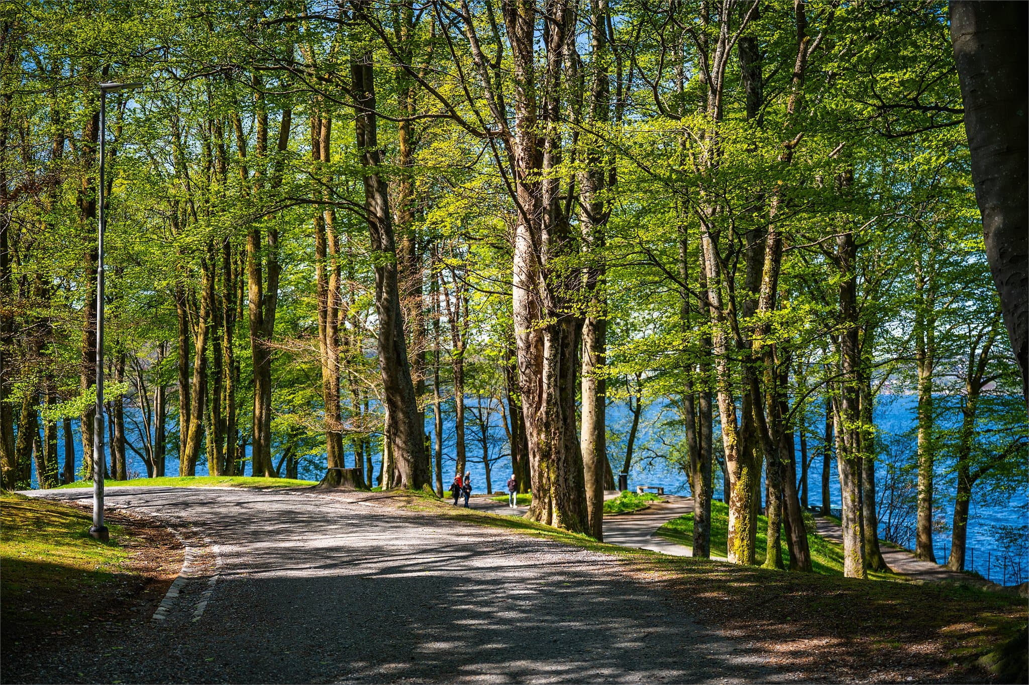 - Nærhet til nydelige turområder, som Nordnesparken -