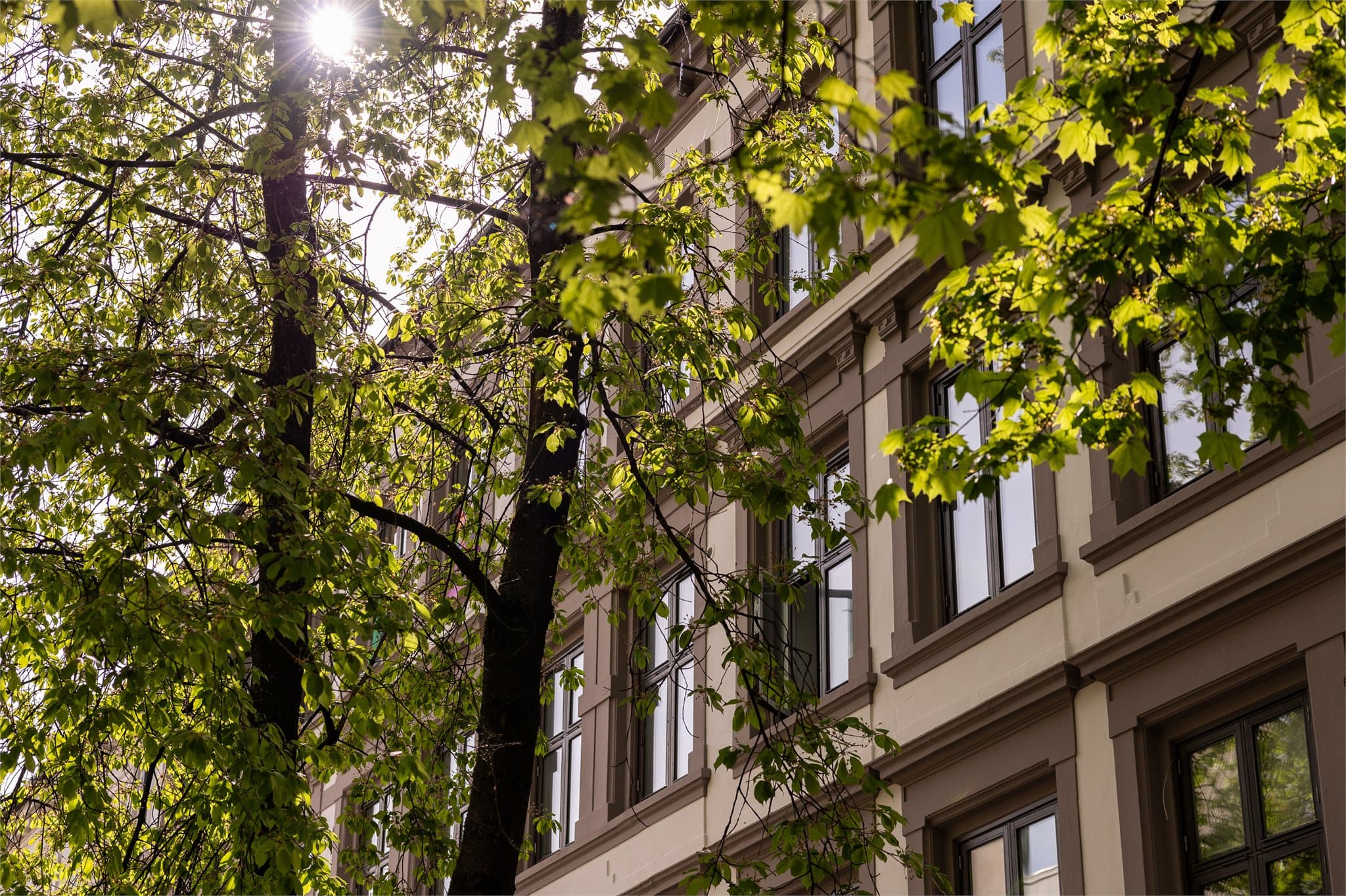 Her bor du i en hyggelig og tilbaketrukket gate på idylliske Fredensborg.