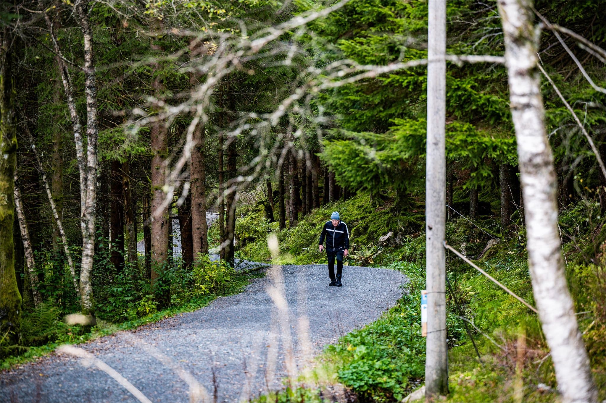 - Det er kort vei til flotte turmuligheter, som Gravdalsfjellet og Kanadaskogen -