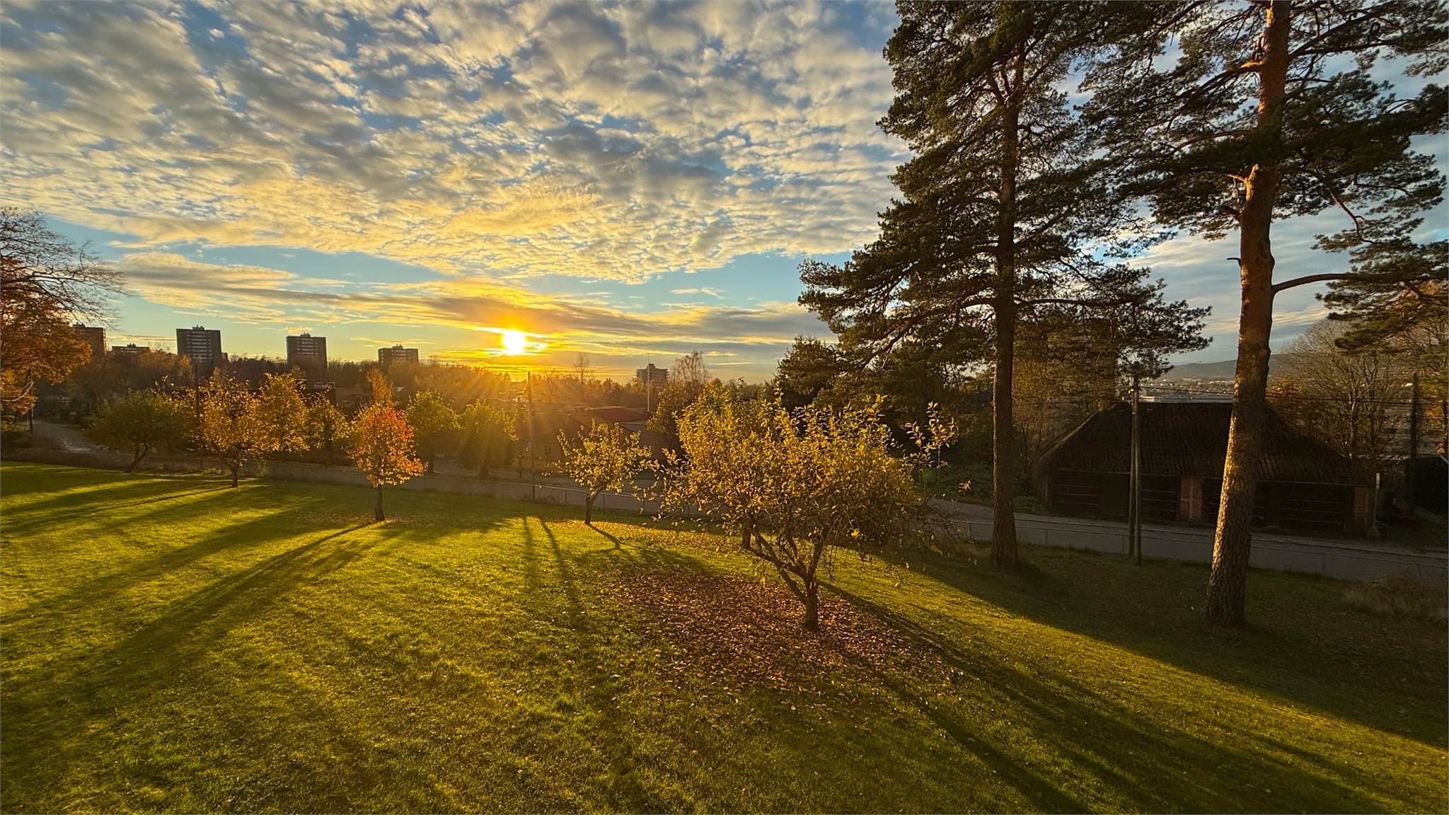 Fantastisk utsikt fra balkongen!
