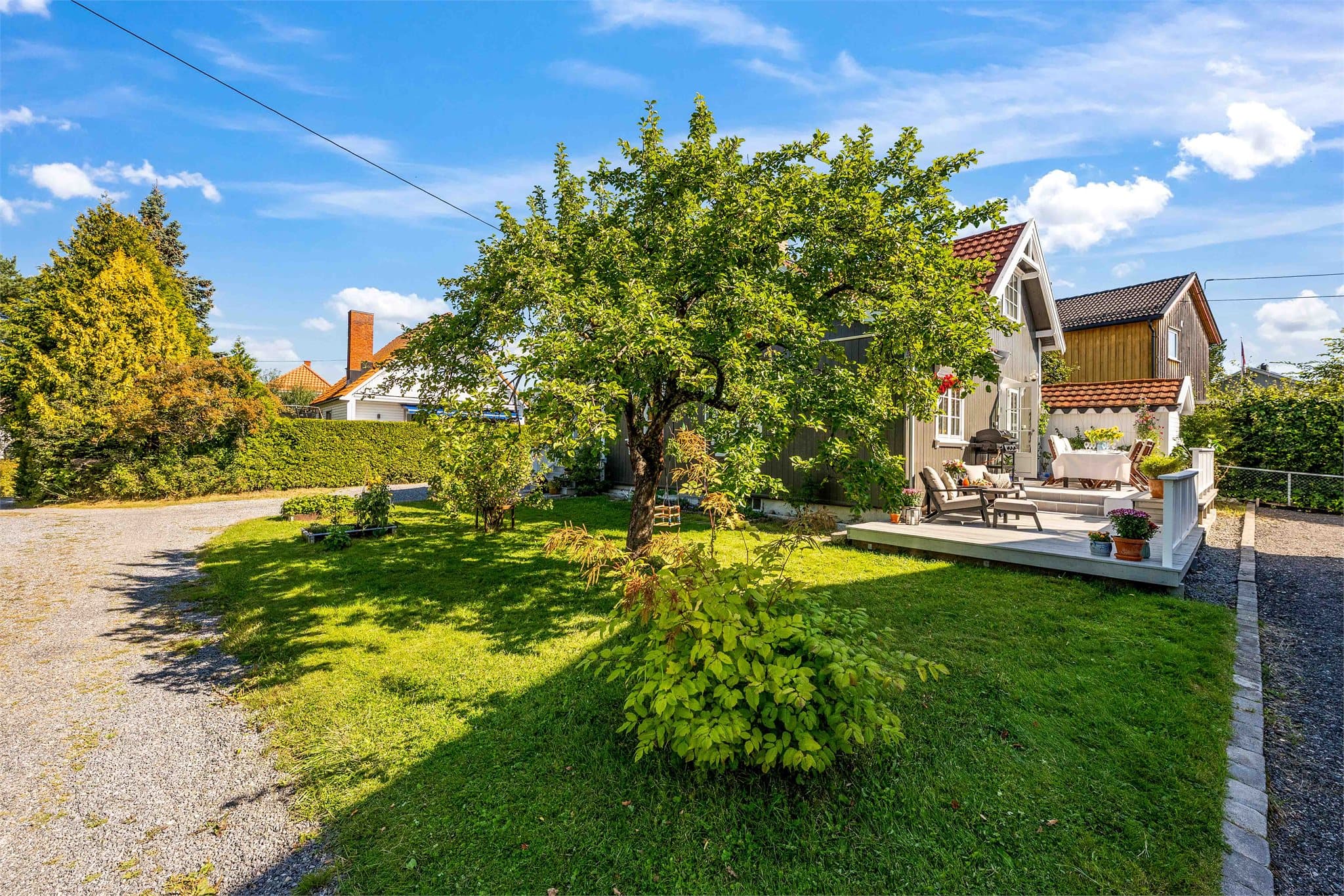 Koselig hage med blant annet epletre, bærbusker og rosebusker.