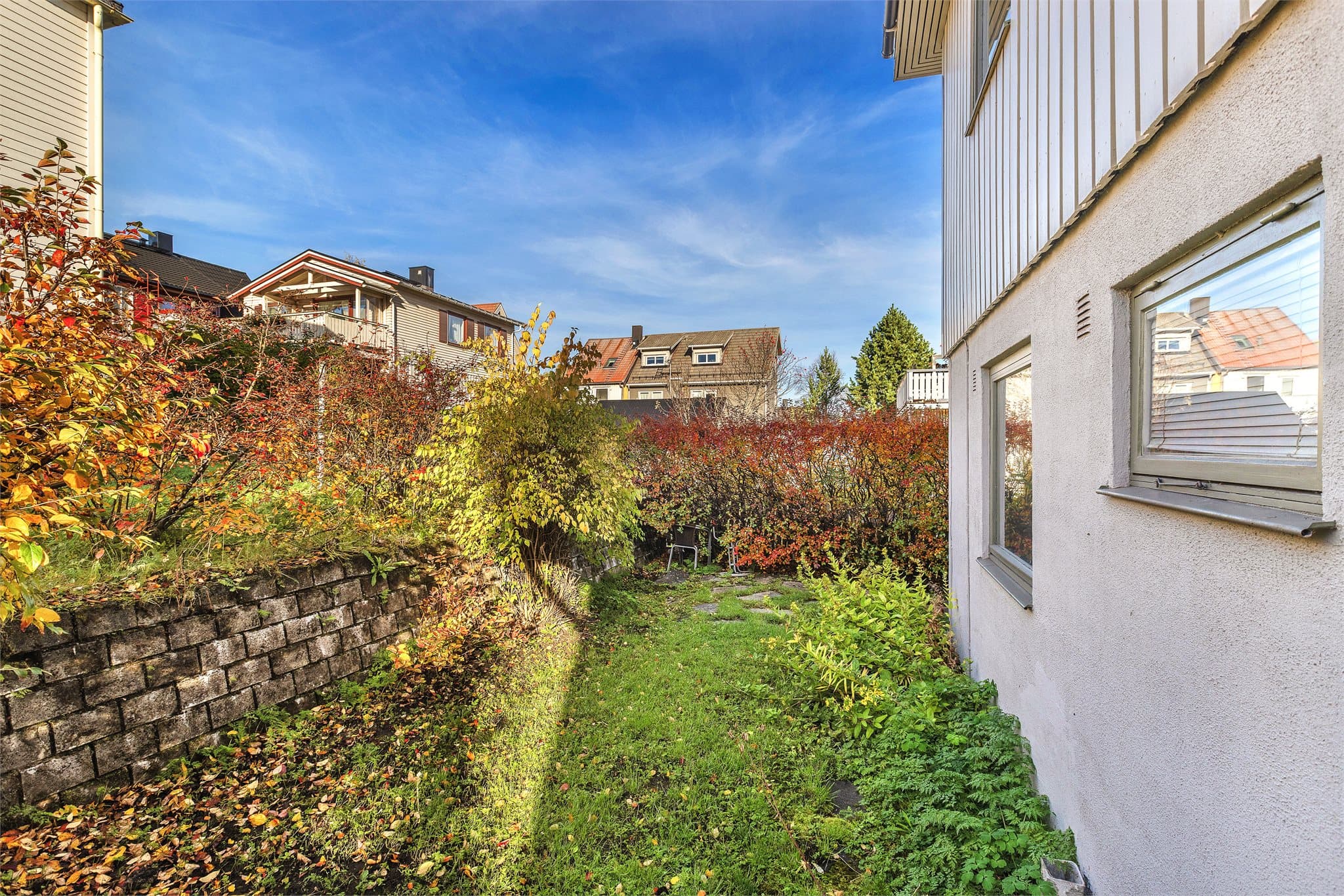 Grøntareal langs husveggen med hekk og frodig vegetasjon.