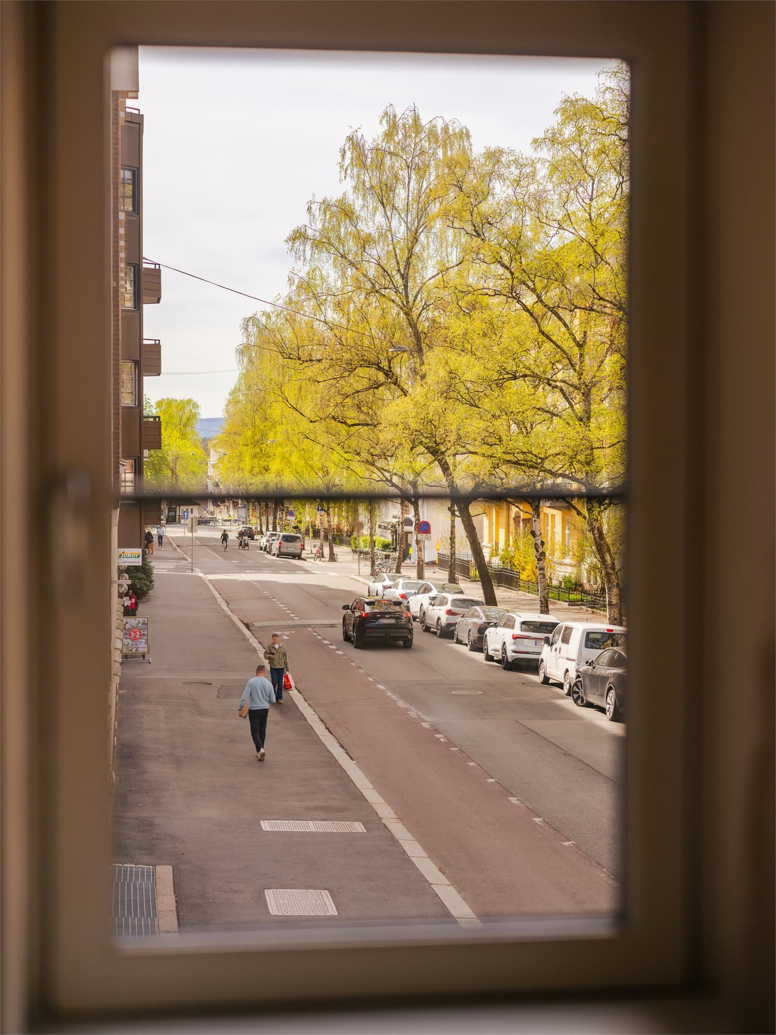 Fra vinduene ser man ut mot Elisenbergveien, en rolig gate i hjertet av Frogner.