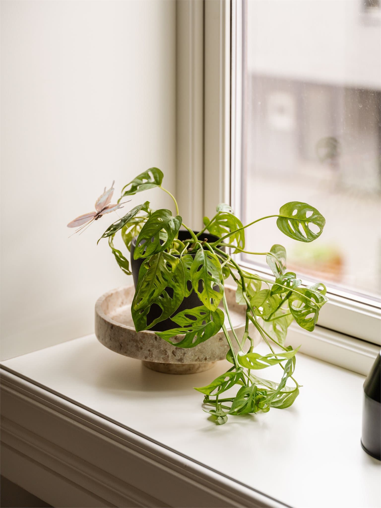Dype vinduskarmer med plass til planter eller dekorative elementer.
