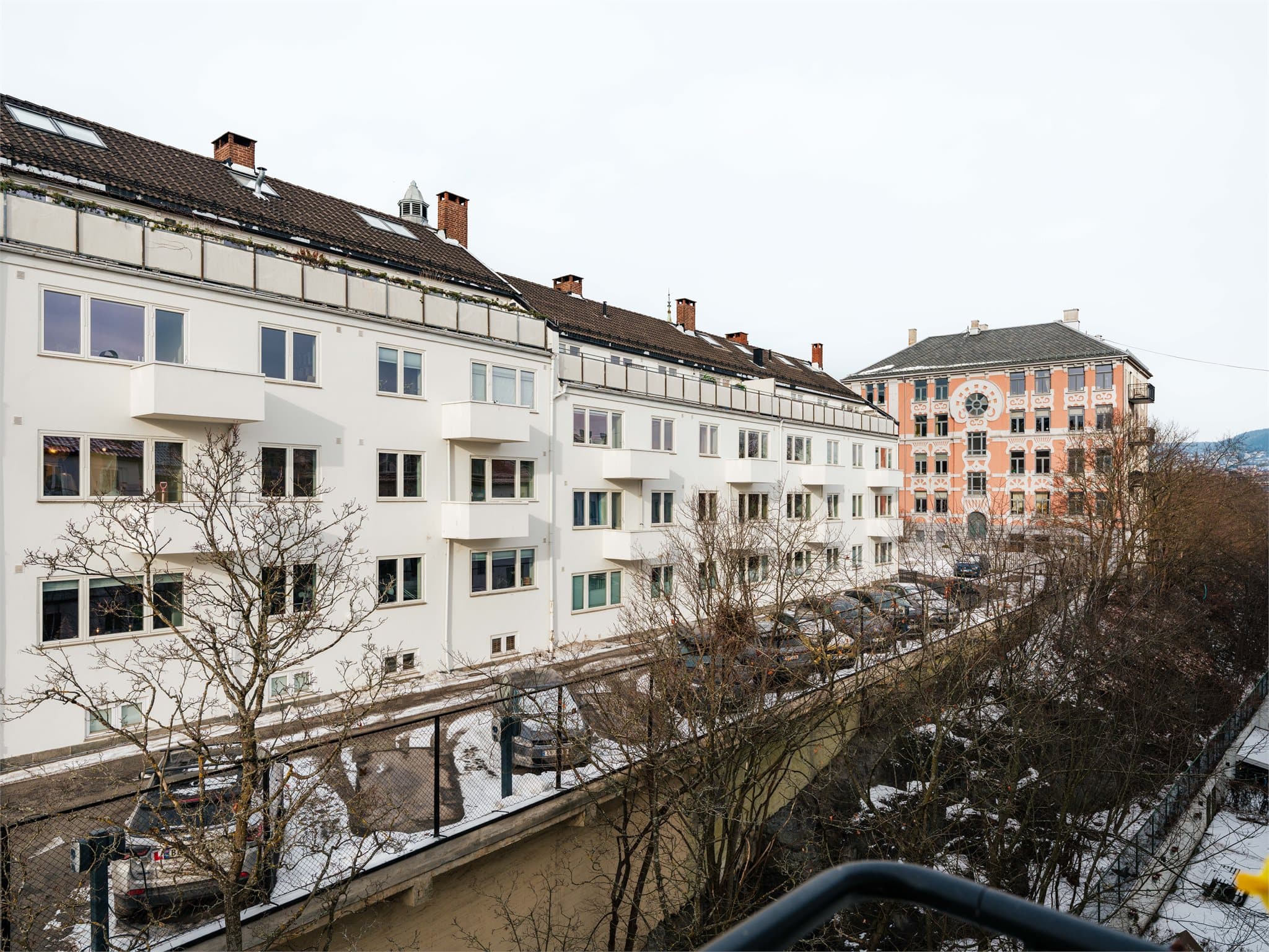 På sommeren blir det svært grønt og frodig i bakgården.