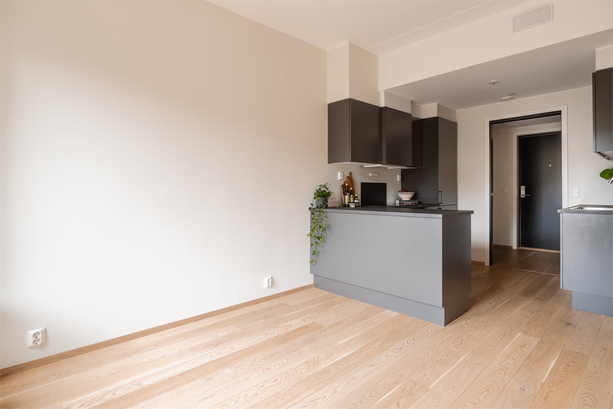 Stue med kjøkken i åpen løsning