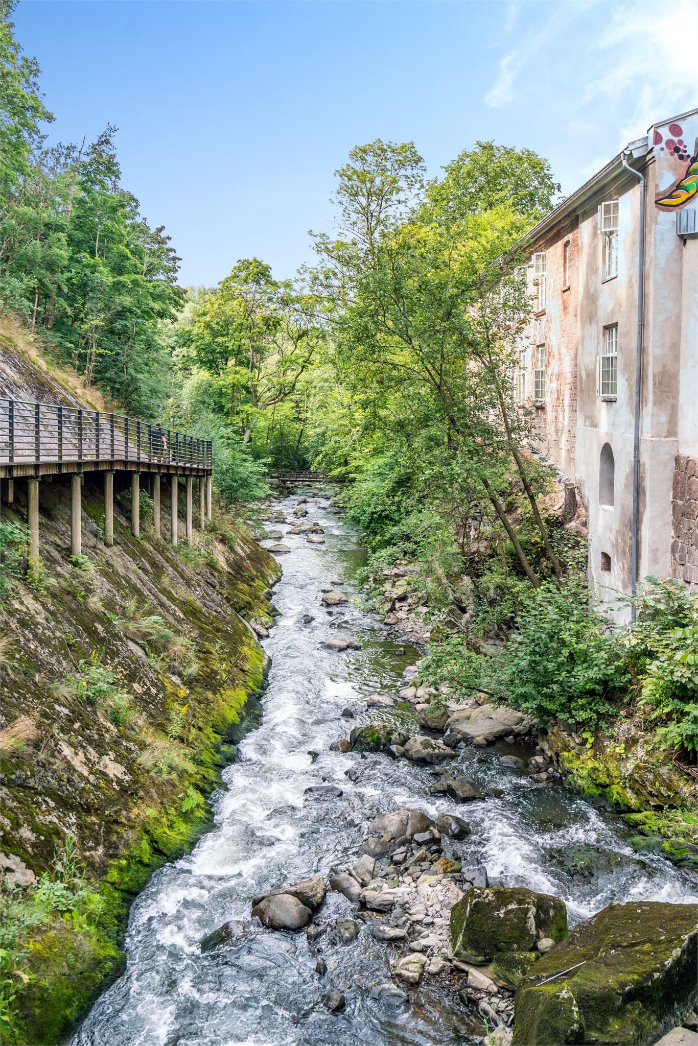 Naturen rett utenfor døra!