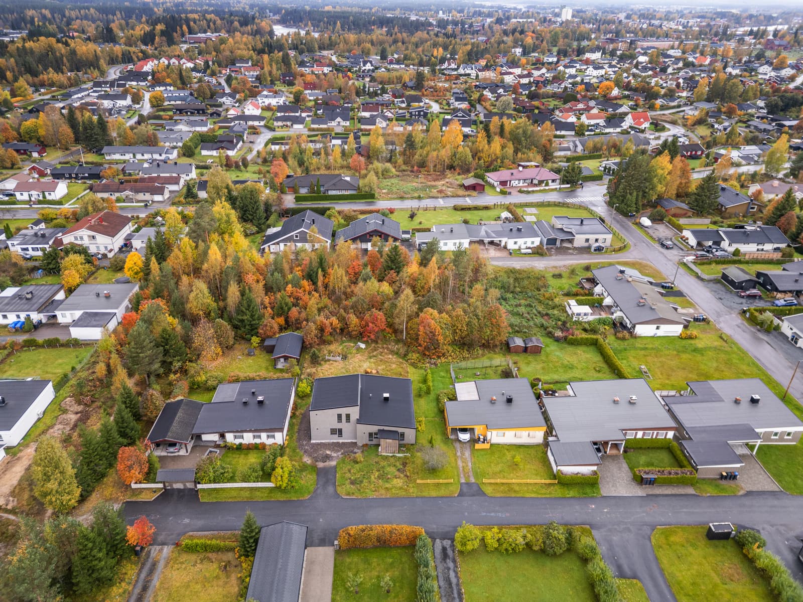 Med Svartholtet like ovenfor skal det ikke stå på turmuligheter. Her finner du fine tur- og rekreasjonsstier for både store og små. Svartholtet har kilometervis av preparerte skiløyper på vinterstid.