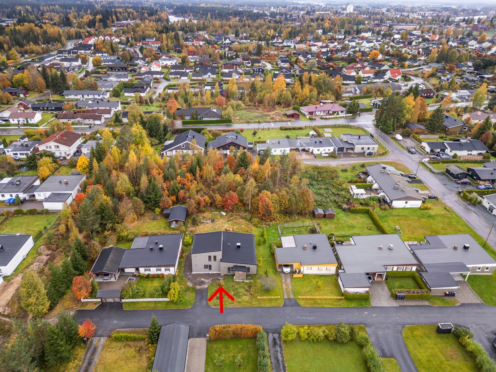 Med Svartholtet like ovenfor skal det ikke stå på turmuligheter. Her finner du fine tur- og rekreasjonsstier for både store og små. Svartholtet har kilometervis av preparerte skiløyper på vinterstid.