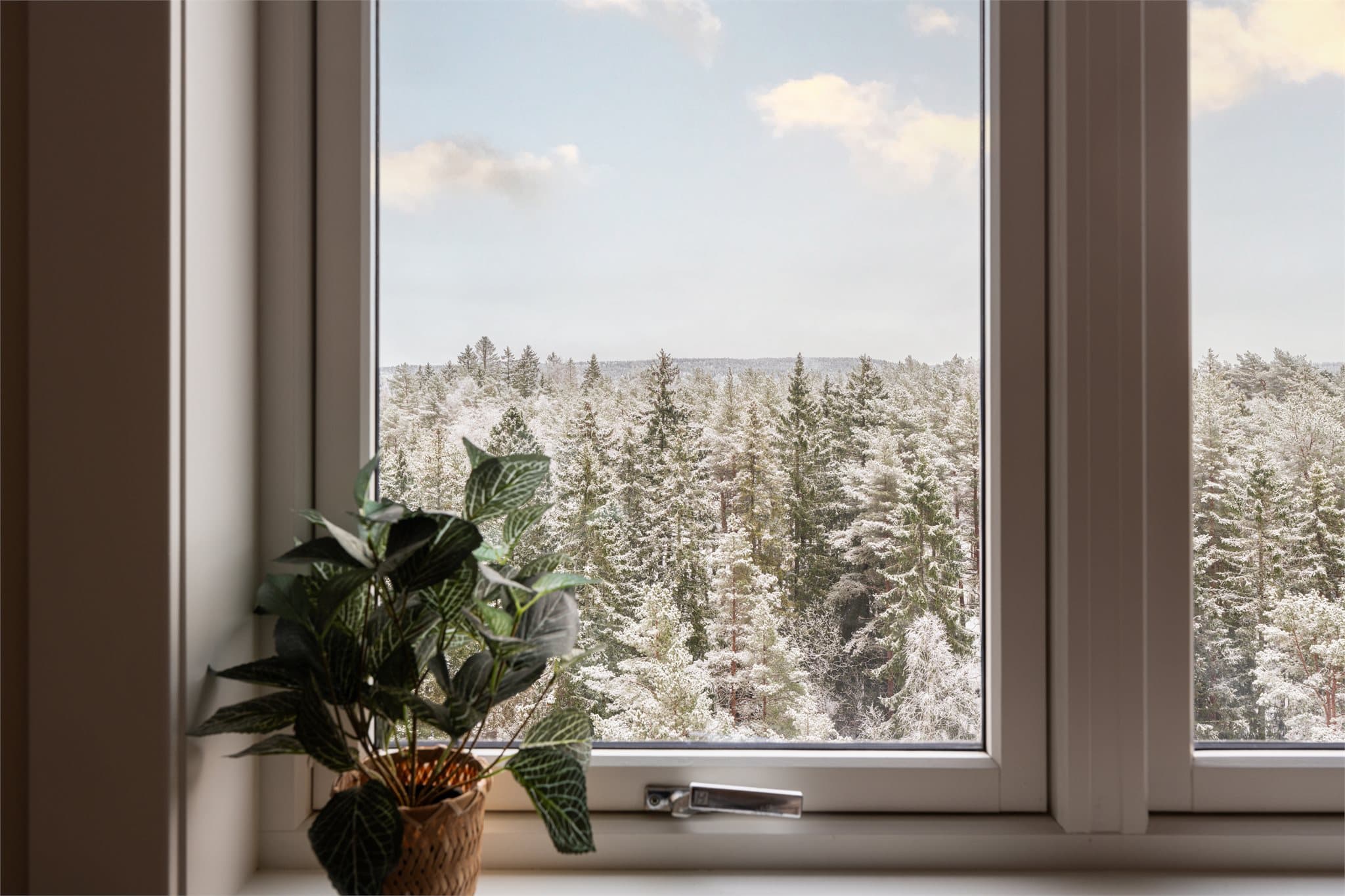 Fra leiligheten har du umiddelbar nærhet til Østmarka.